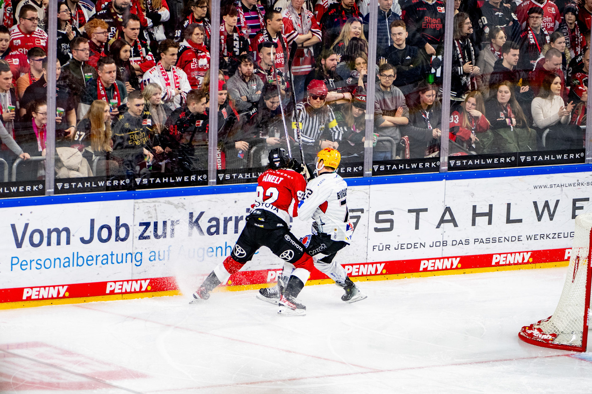 Hakon Haenelt im Zweikampf mit Phillip Bruggisser; DEL Kölner Haie - Fishtown Pinguins Bremerhaven, 30.01.2024
