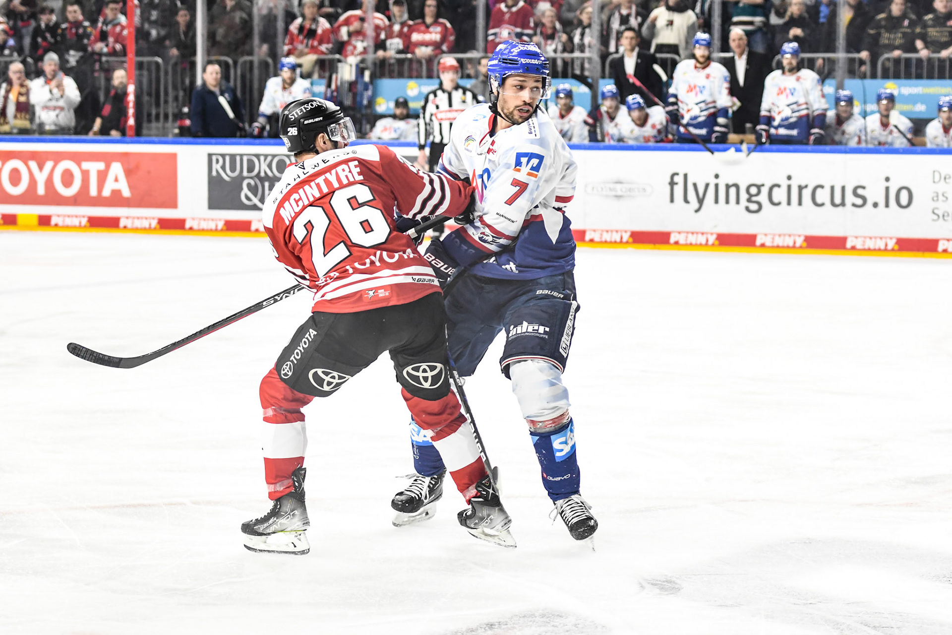 Sinan Akdag; DEL Kölner Haie - Adler Mannheim, 17.03.2023