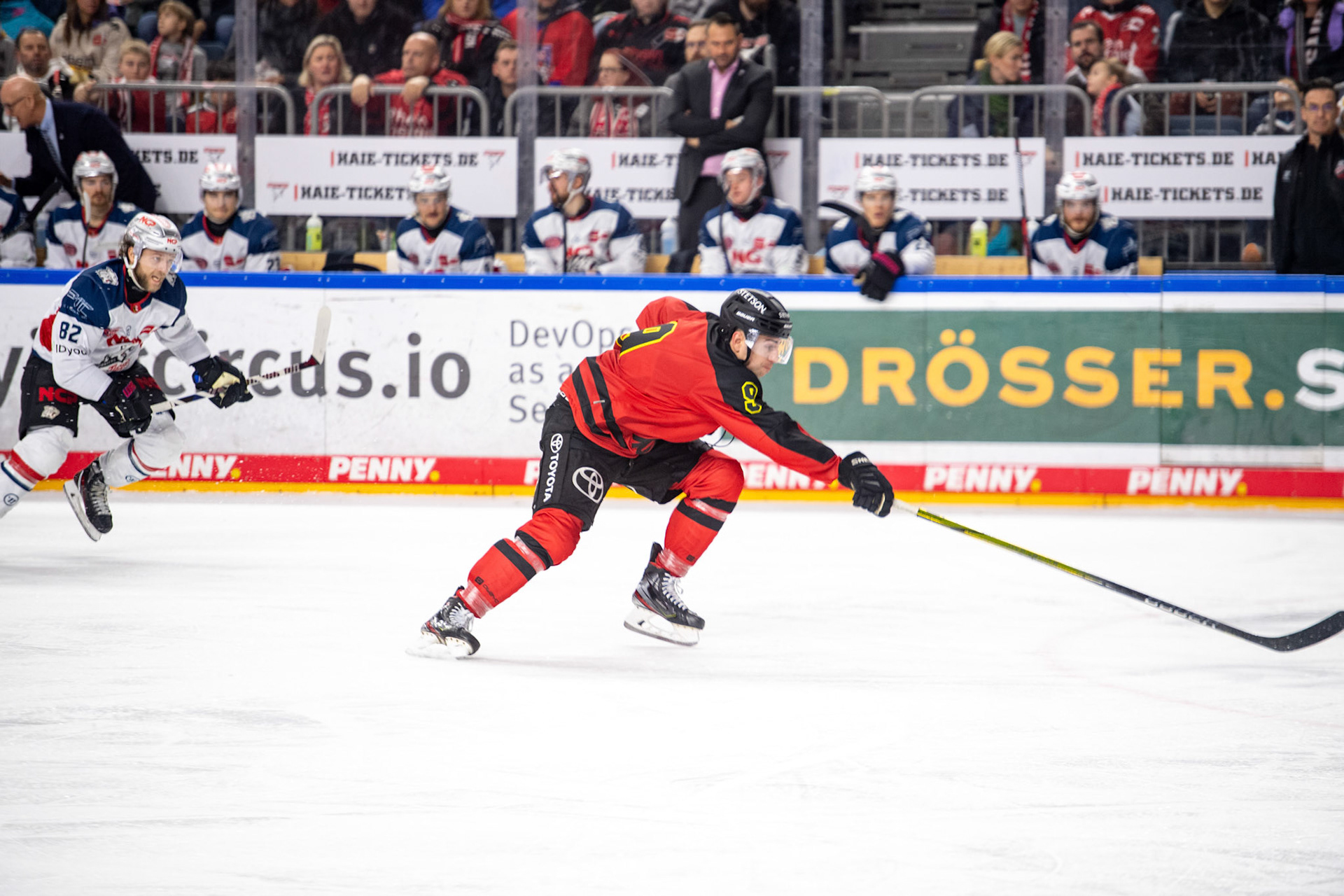 Maximilian Kammerer; DEL Kölner Haie - Nürnberg Ice Tigers, 17.12.2023
