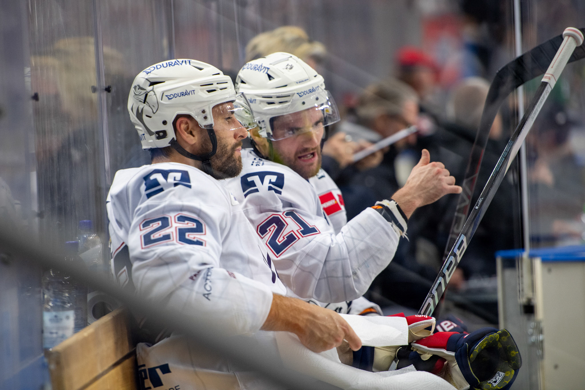 Kais Bennett und Matthias Plachta auf der Strafbank; DEL Kölner Haie - Adler Mannheim, 30.09.2023