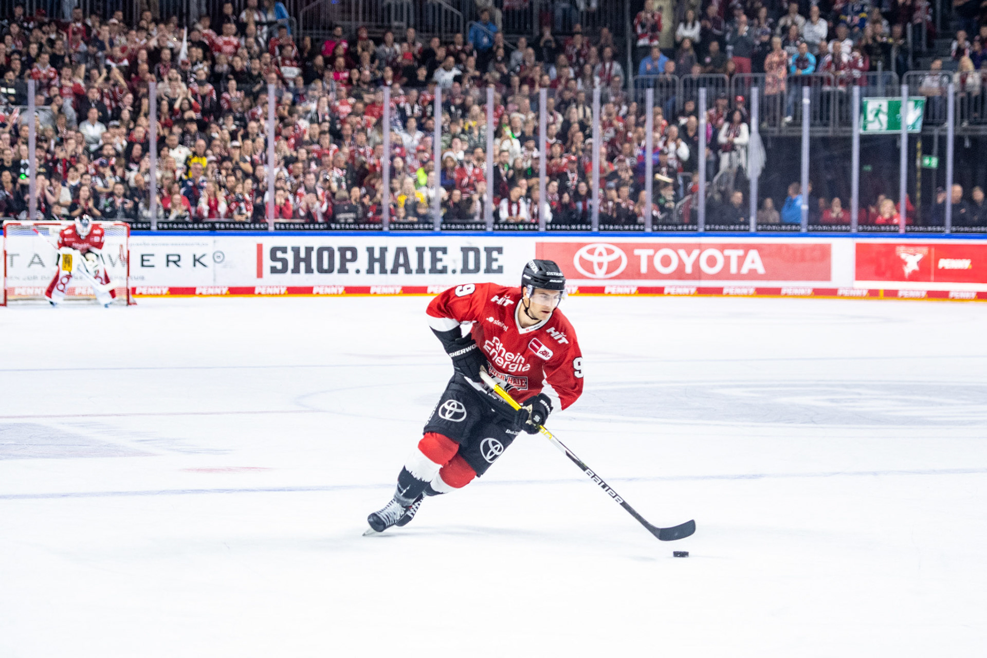 Maximilian Kammerer; DEL Kölner Haie - Augsburger Panther, 03.10.2023