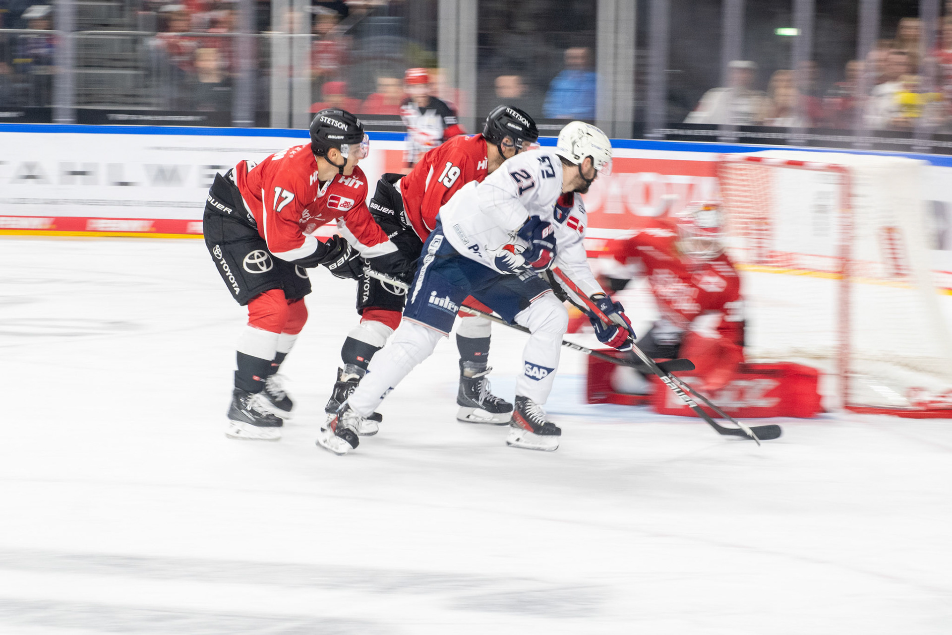 Koelner Haie; DEL Kölner Haie - Adler Mannheim, 30.09.2023