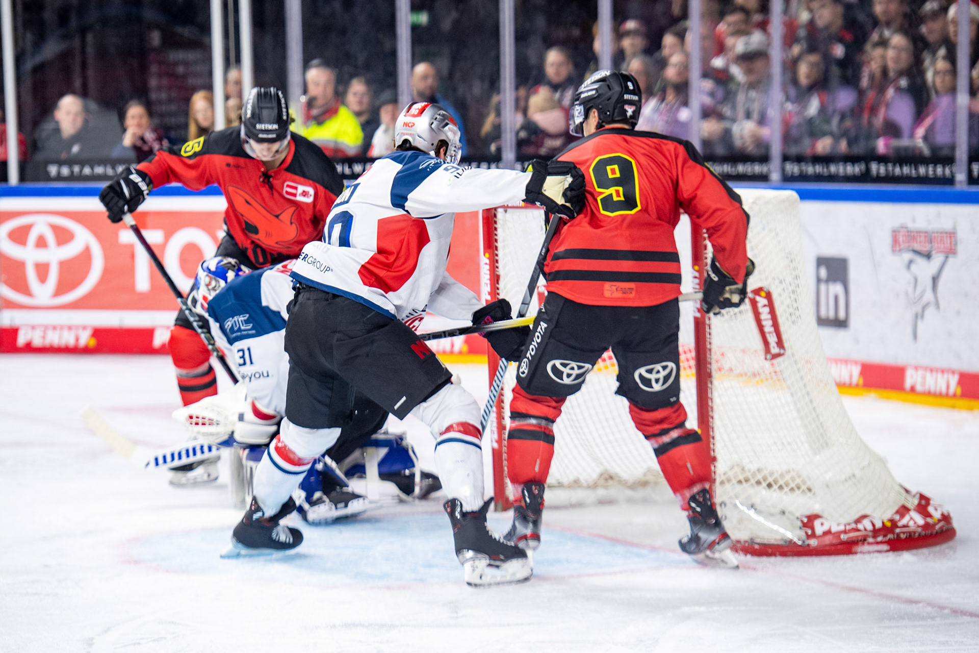 Maximilian Kammerer; DEL Kölner Haie - Nürnberg Ice Tigers, 17.12.2023
