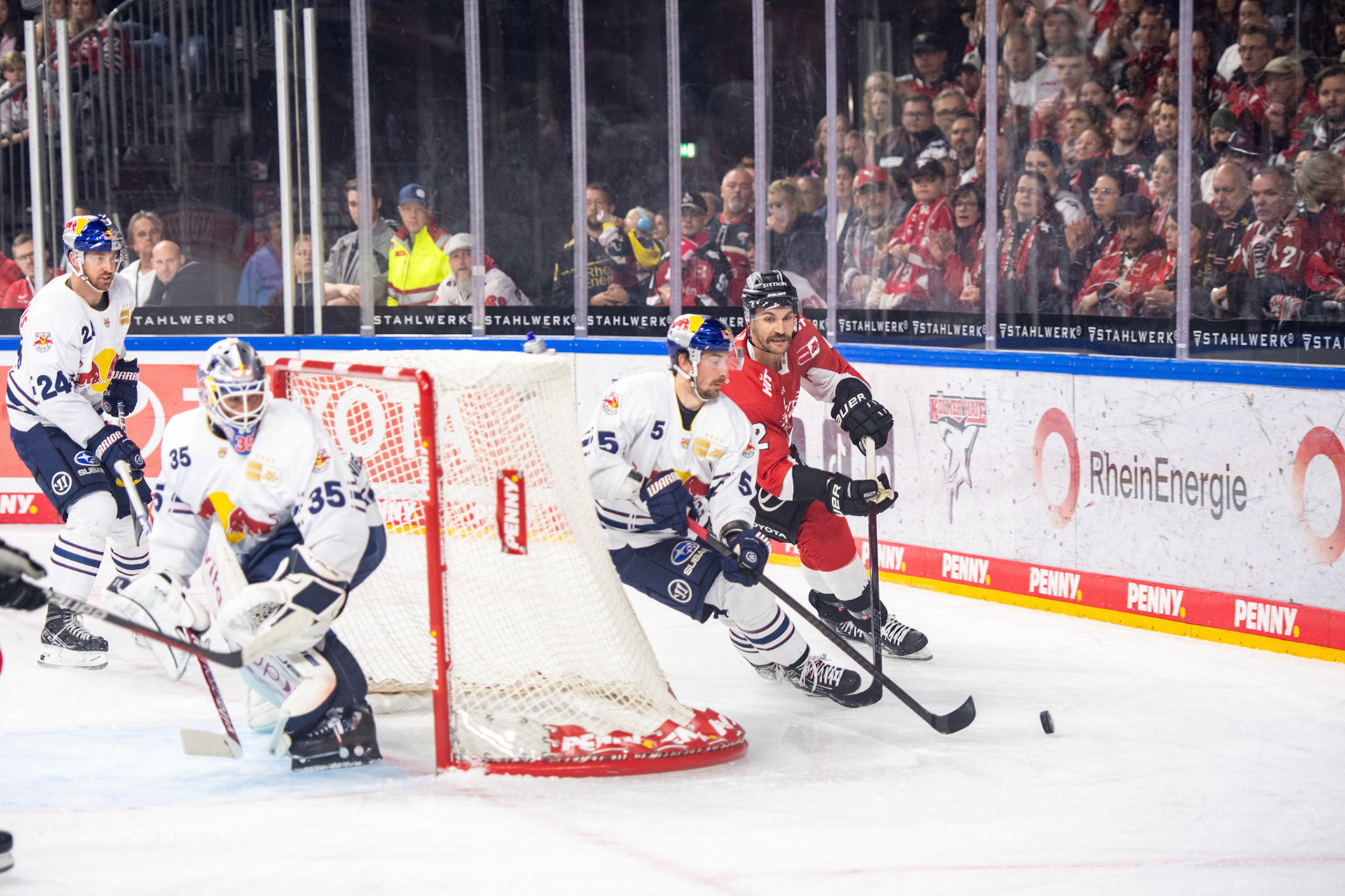 Adam Almquist; DEL Kölner Haie - EHC Red Bull München, 27.10.2023