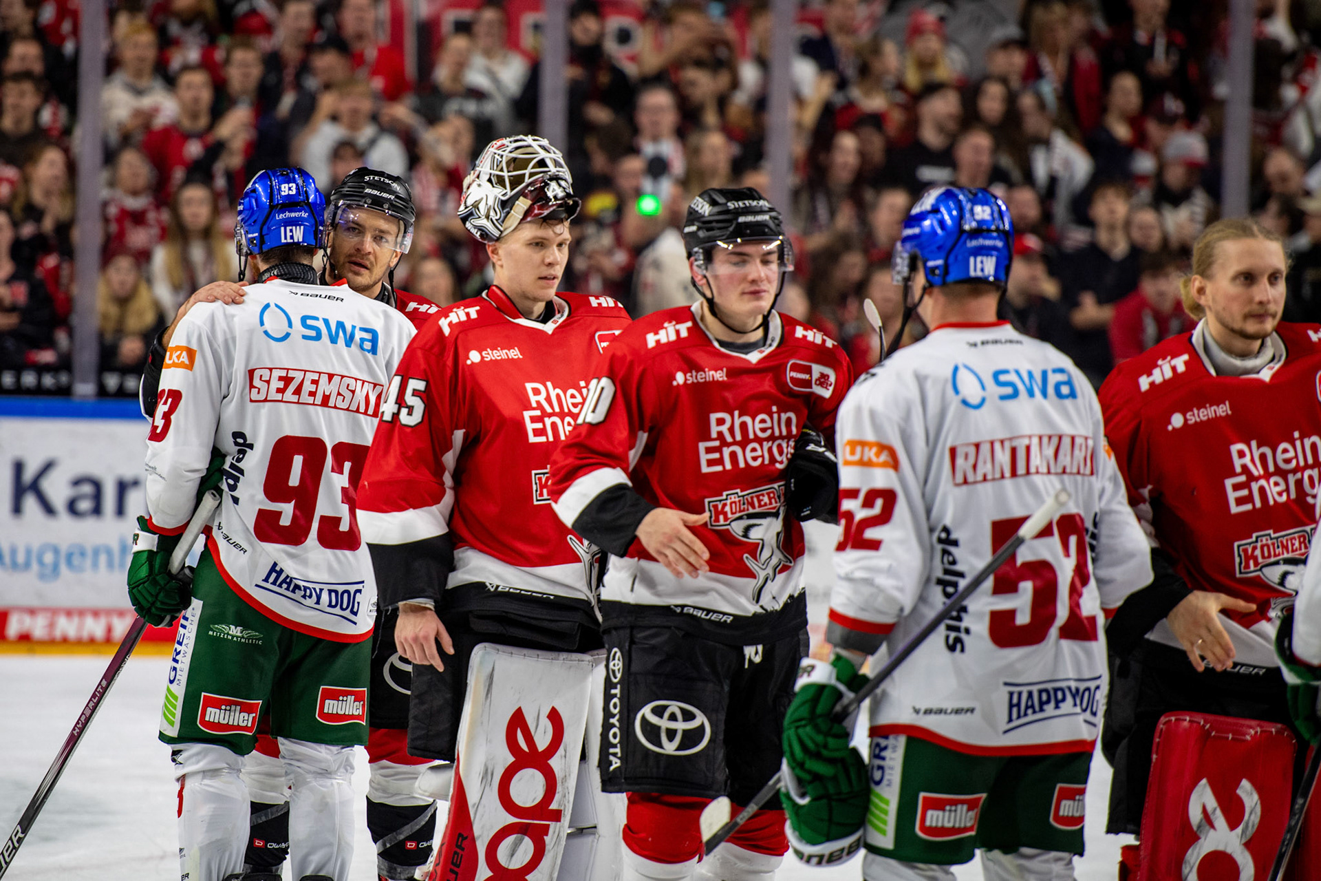 Koelner Haie; DEL Kölner Haie - Augsburger Panther, 19.11.2023