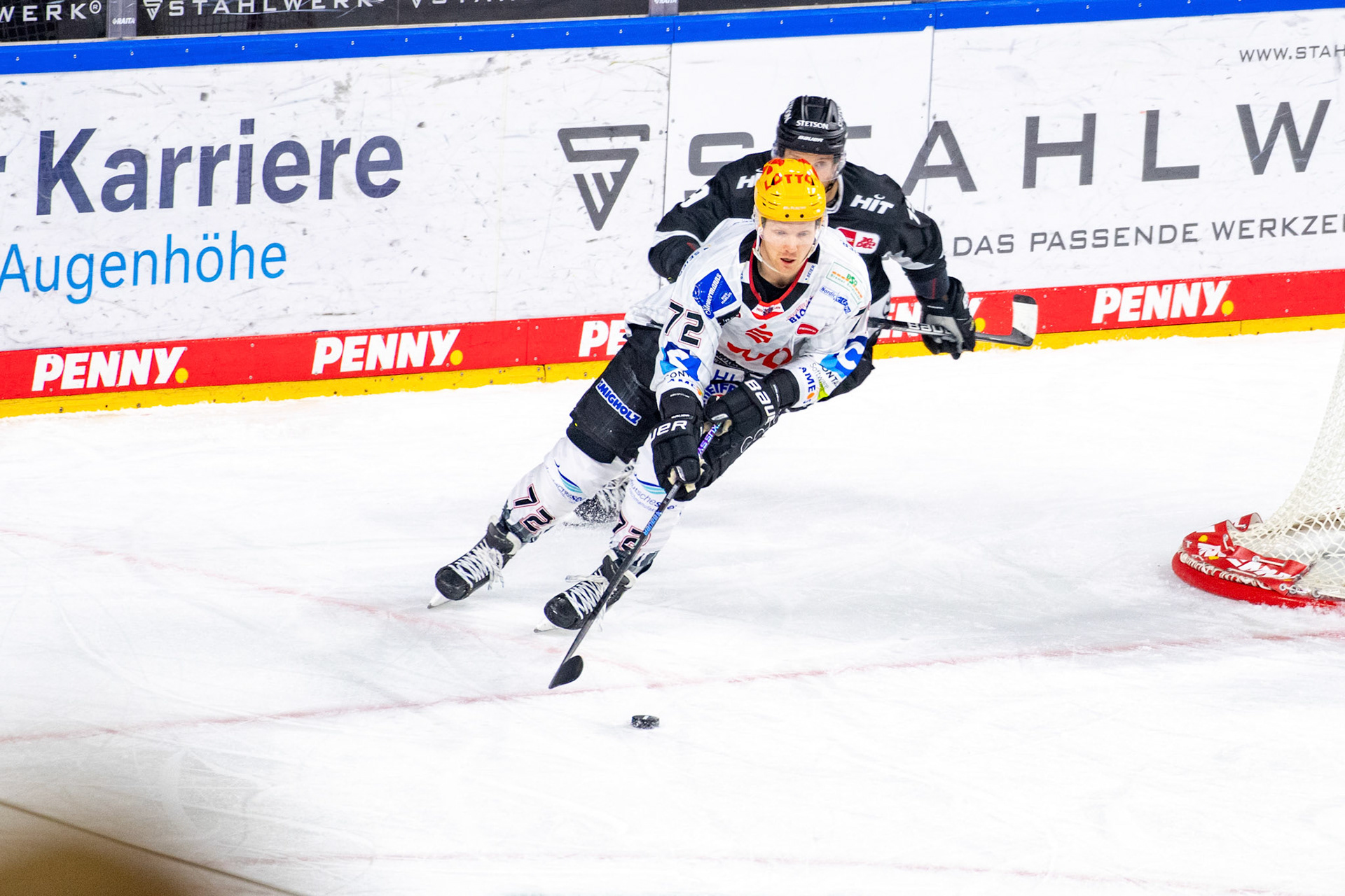 Phillip Bruggisser; DEL Kölner Haie - Bremerhaven Fischtown Pinguins, 01.11.2023