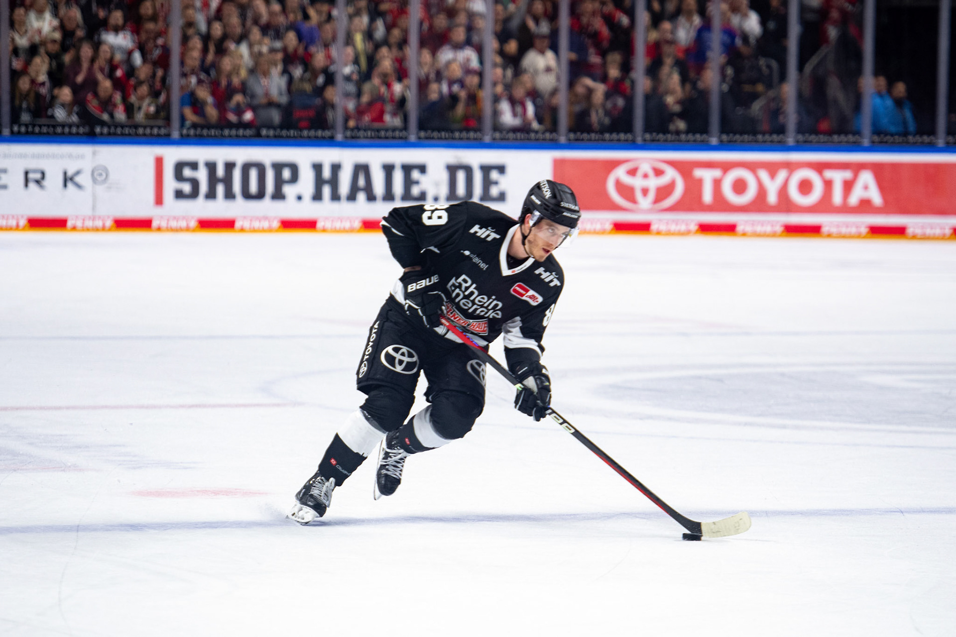 Gregor Macleod; DEL Kölner Haie - Bremerhaven Fischtown Pinguins, 01.11.2023