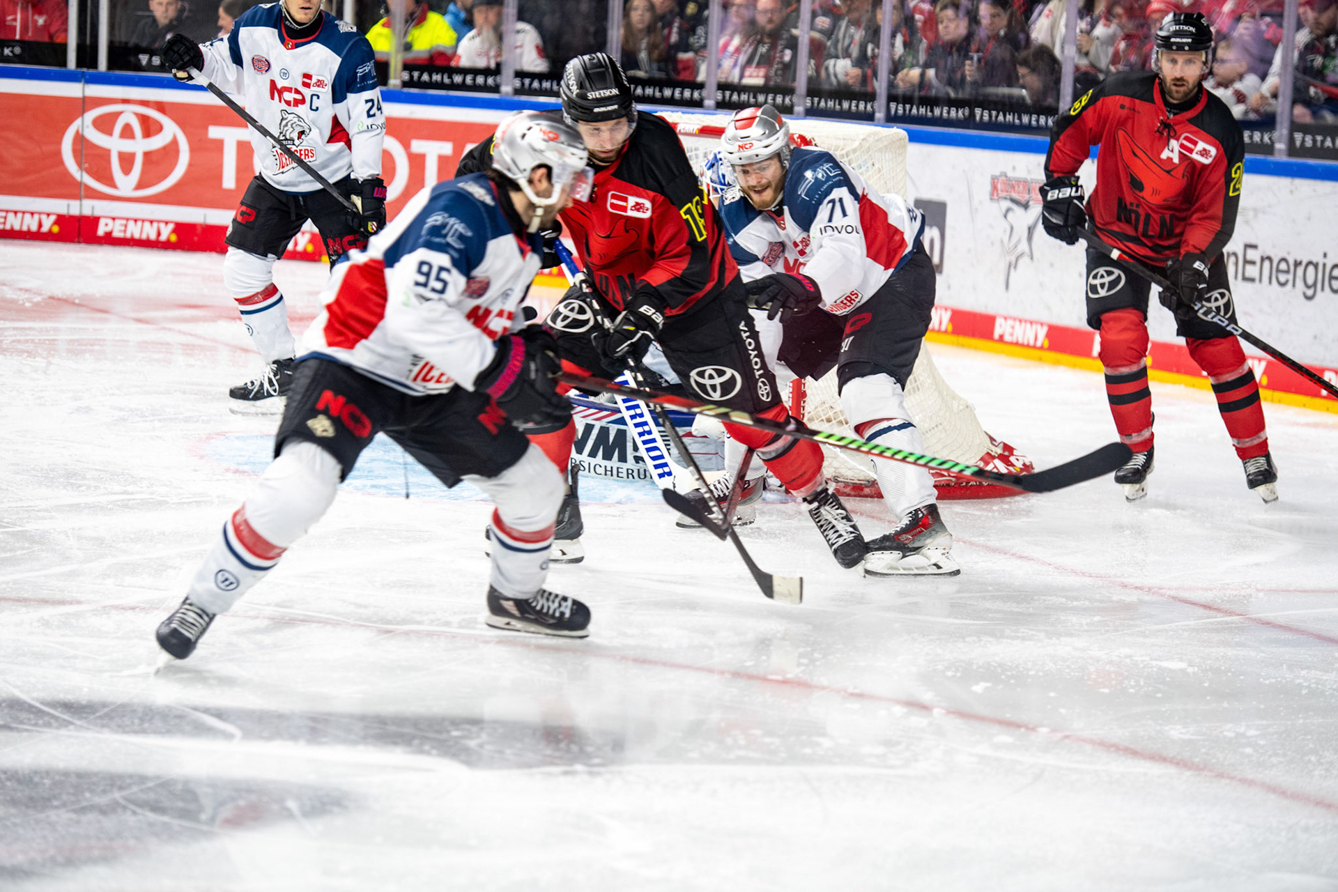 Frederik Storm; DEL Kölner Haie - Nürnberg Ice Tigers, 17.12.2023