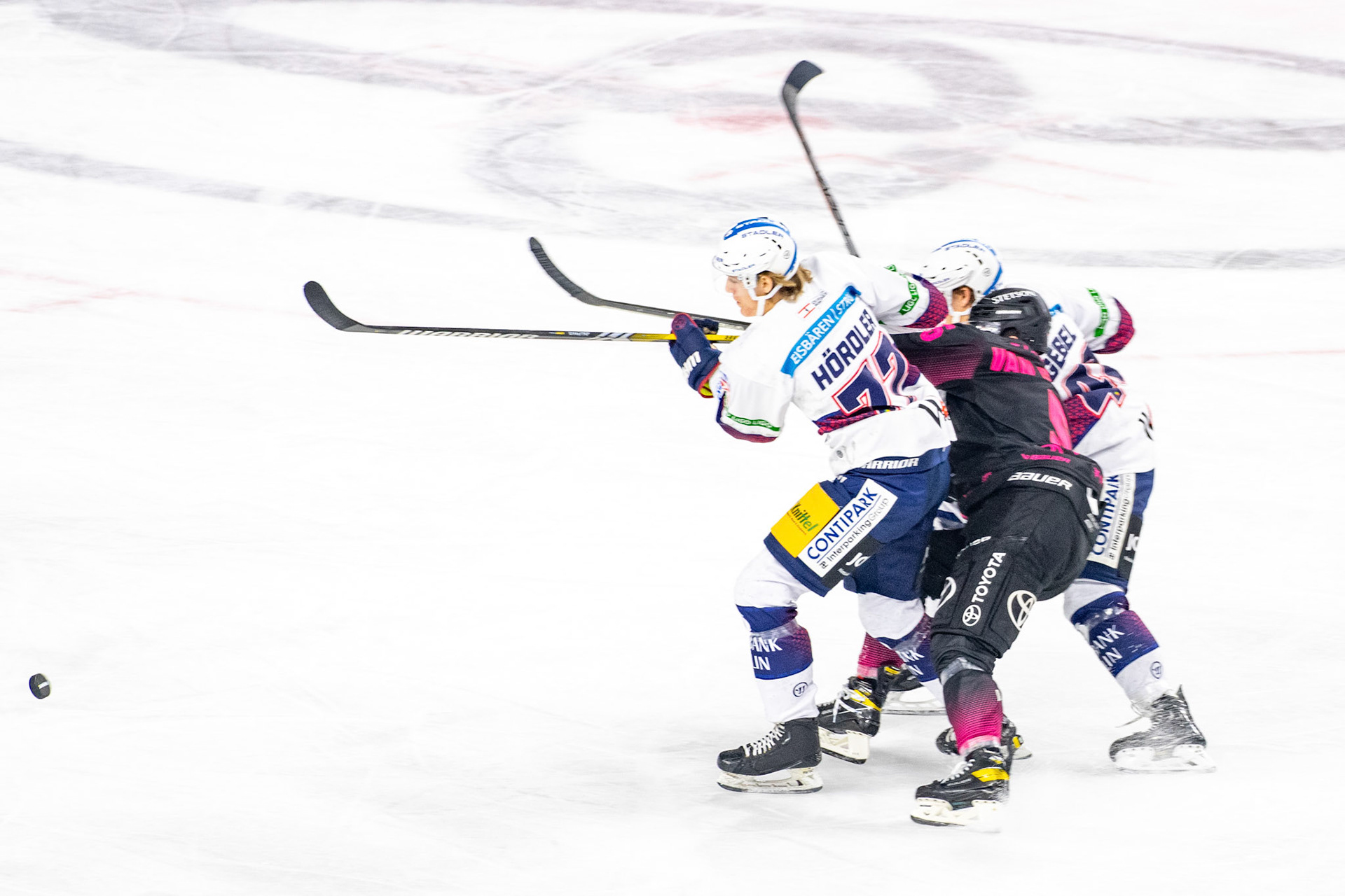 Eric Hoerdler; DEL Kölner Haie - Eisbaeren Berlin, 06.10.2023