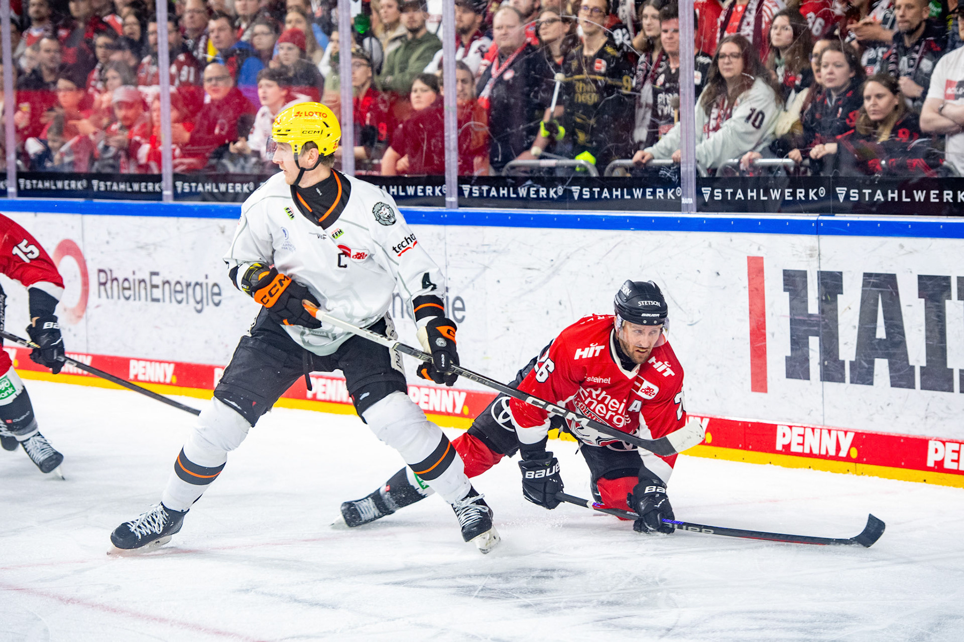 Reis McNeillm, David Mcintyre; DEL Kölner Haie - Frankfurter Löwen, 16.02.2024