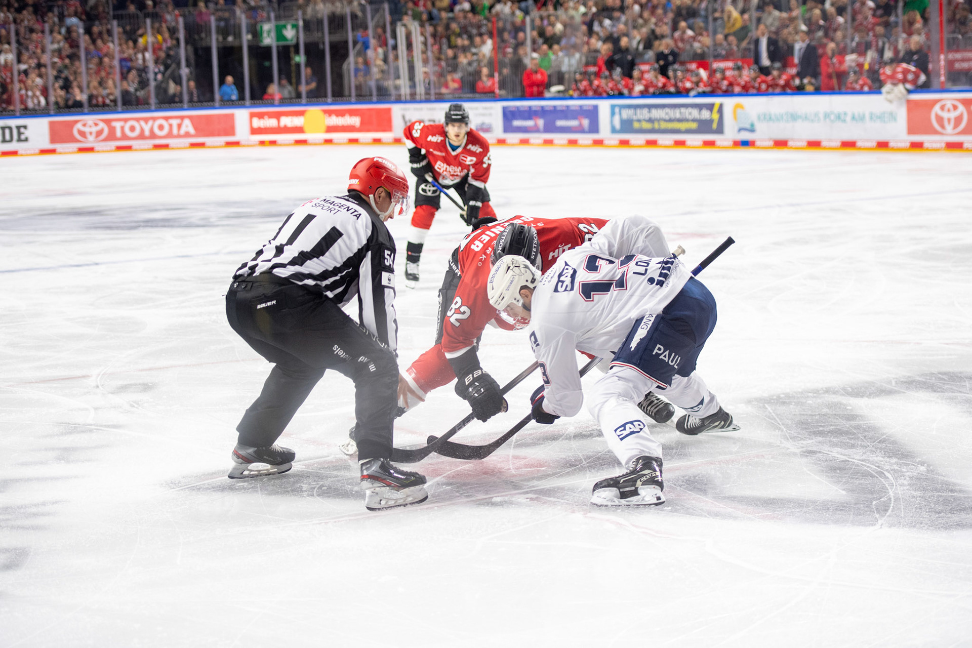Alexandre Grenter, Stefan Loibl; DEL Kölner Haie - Adler Mannheim, 30.09.2023