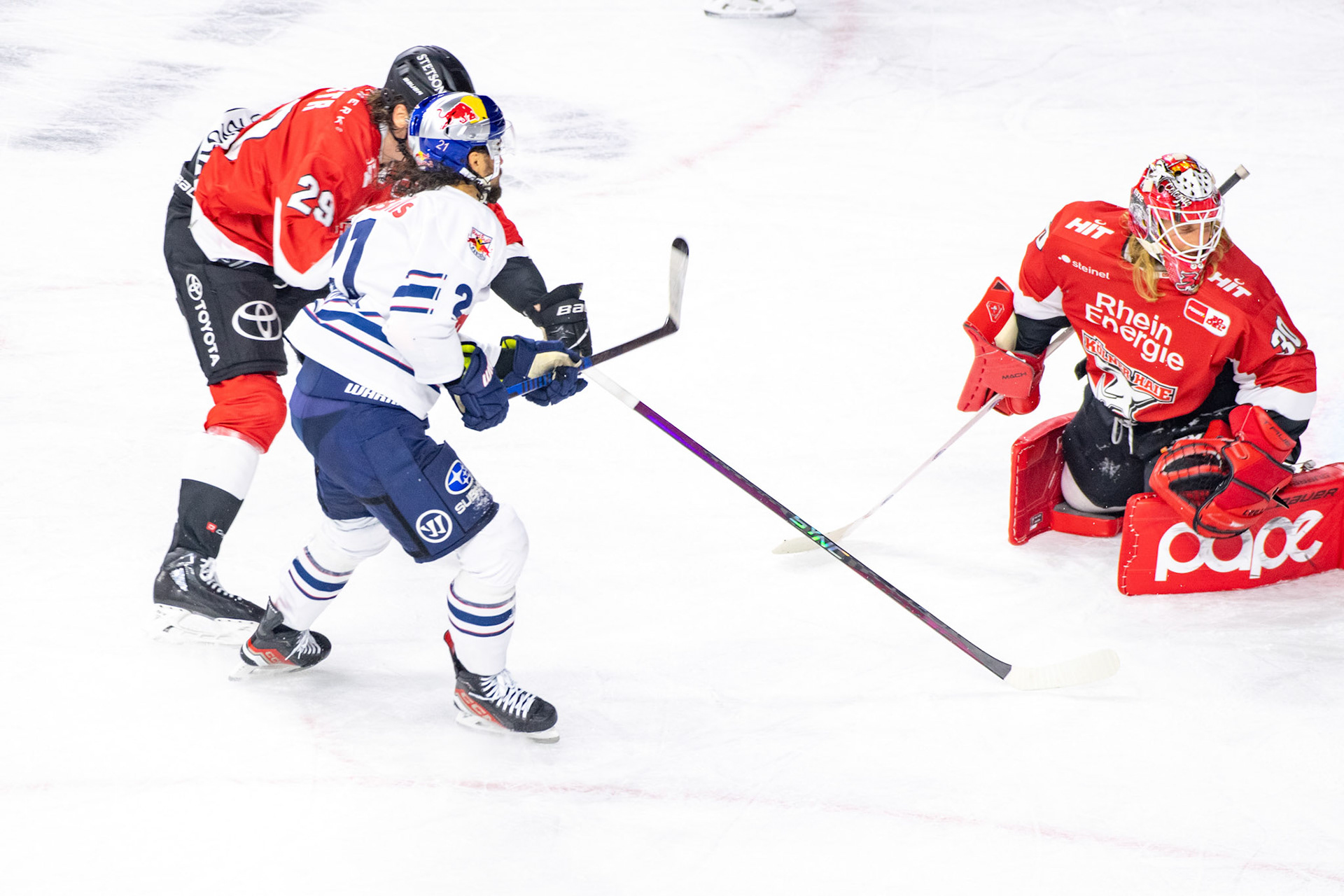 Andrej Sustr; DEL Kölner Haie - EHC Red Bull München, 27.10.2023
