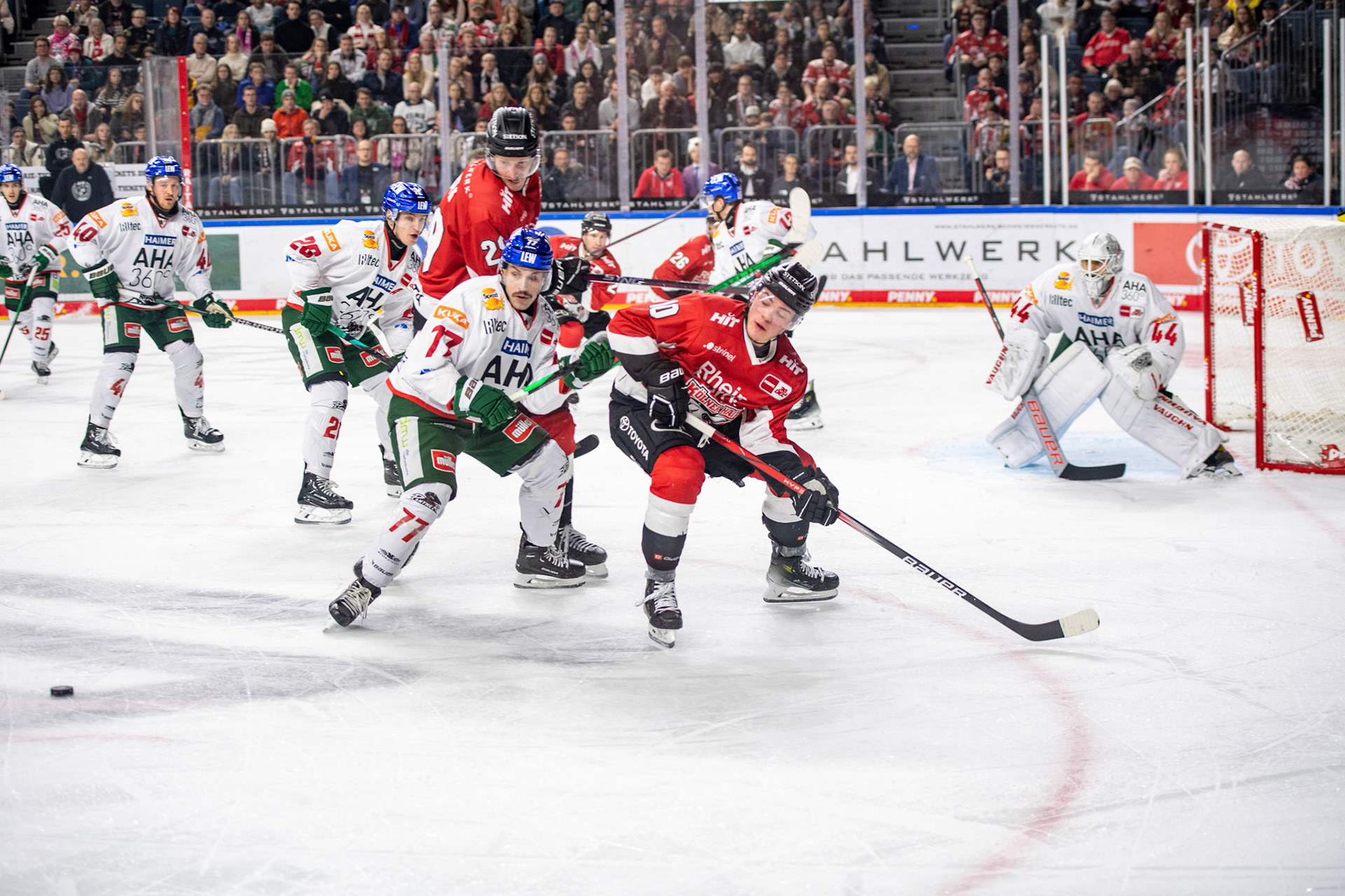 Justin Schuetz; DEL Kölner Haie - Augsburger Panther, 19.11.2023