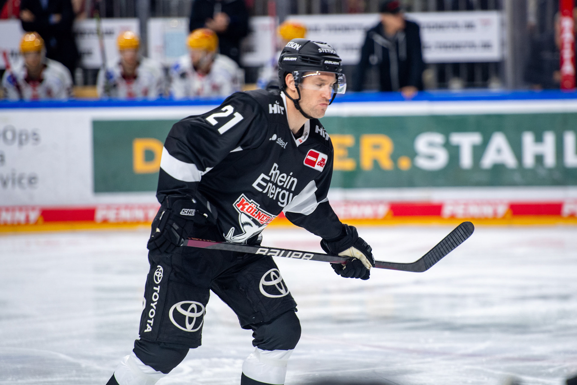 Marc Olver; DEL Kölner Haie - Bremerhaven Fischtown Pinguins, 01.11.2023