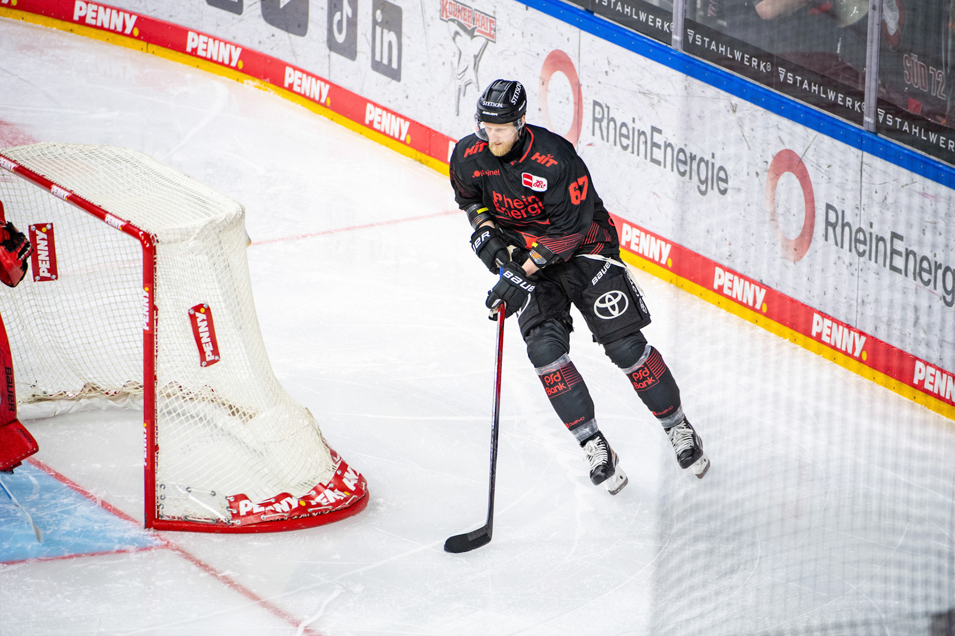 Stanislav Dietz; DEL Kölner Haie - Iserlohn Roosters, 13.02.2024