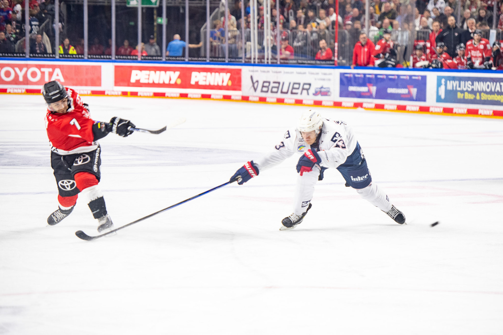 Nicholas Bailen und Markus Haennikaeinen; DEL Kölner Haie - Adler Mannheim, 30.09.2023