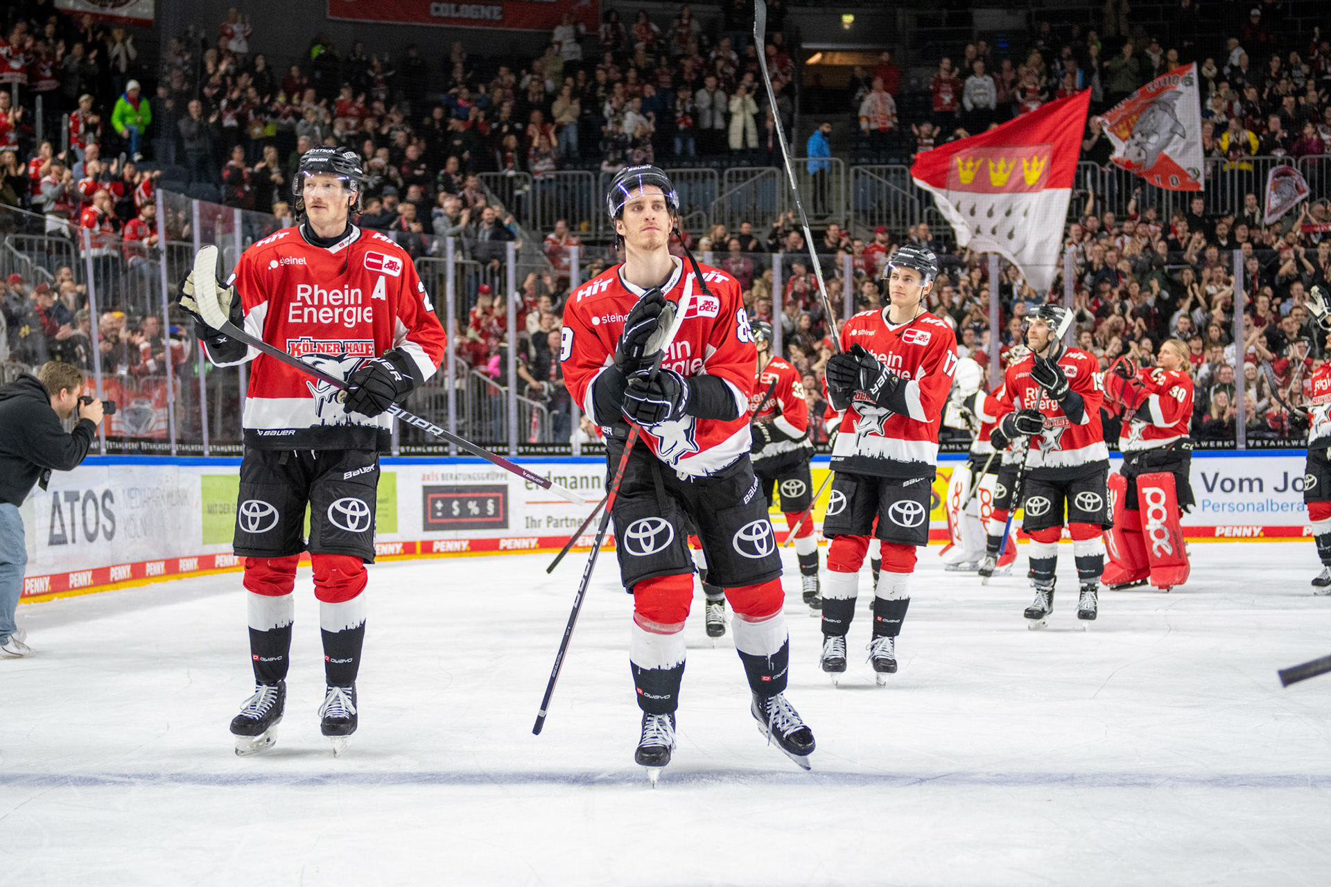 Koelner Haie; DEL Kölner Haie - Augsburger Panther, 19.11.2023