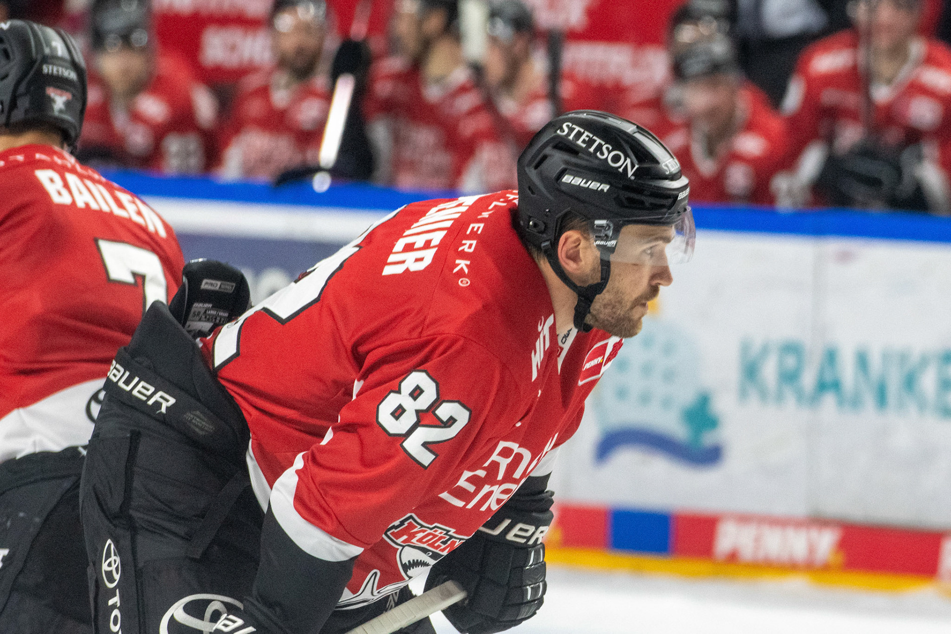Alexandre Grenter; DEL Kölner Haie - Augsburger Panther, 03.10.2023