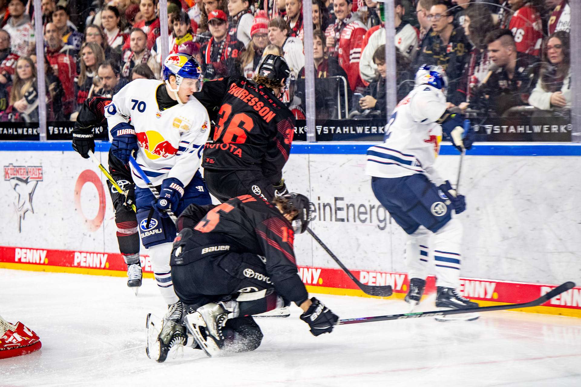 Andreas Thuresson im Zweikampf mit Maximilian Daubner; DEL Kölner Haie - EHC Red Bull München, 05.01.2024