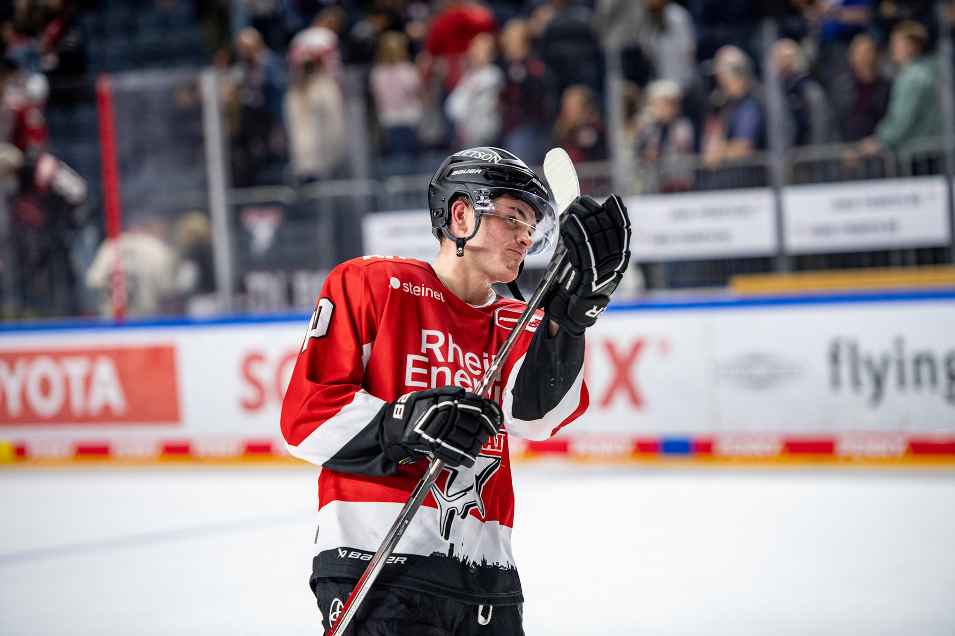 Justin Schuetz; DEL Kölner Haie - Adler Mannheim, 30.09.2023