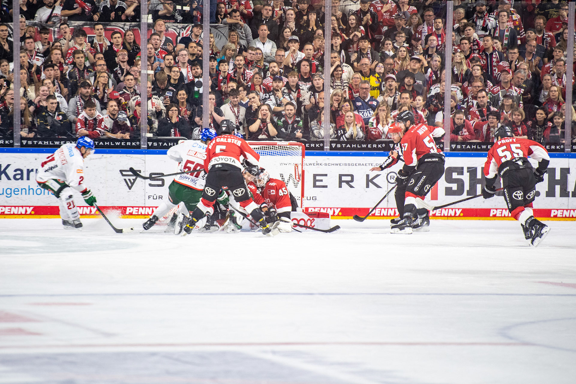 Koelner Haie; DEL Kölner Haie - Augsburger Panther, 03.10.2023