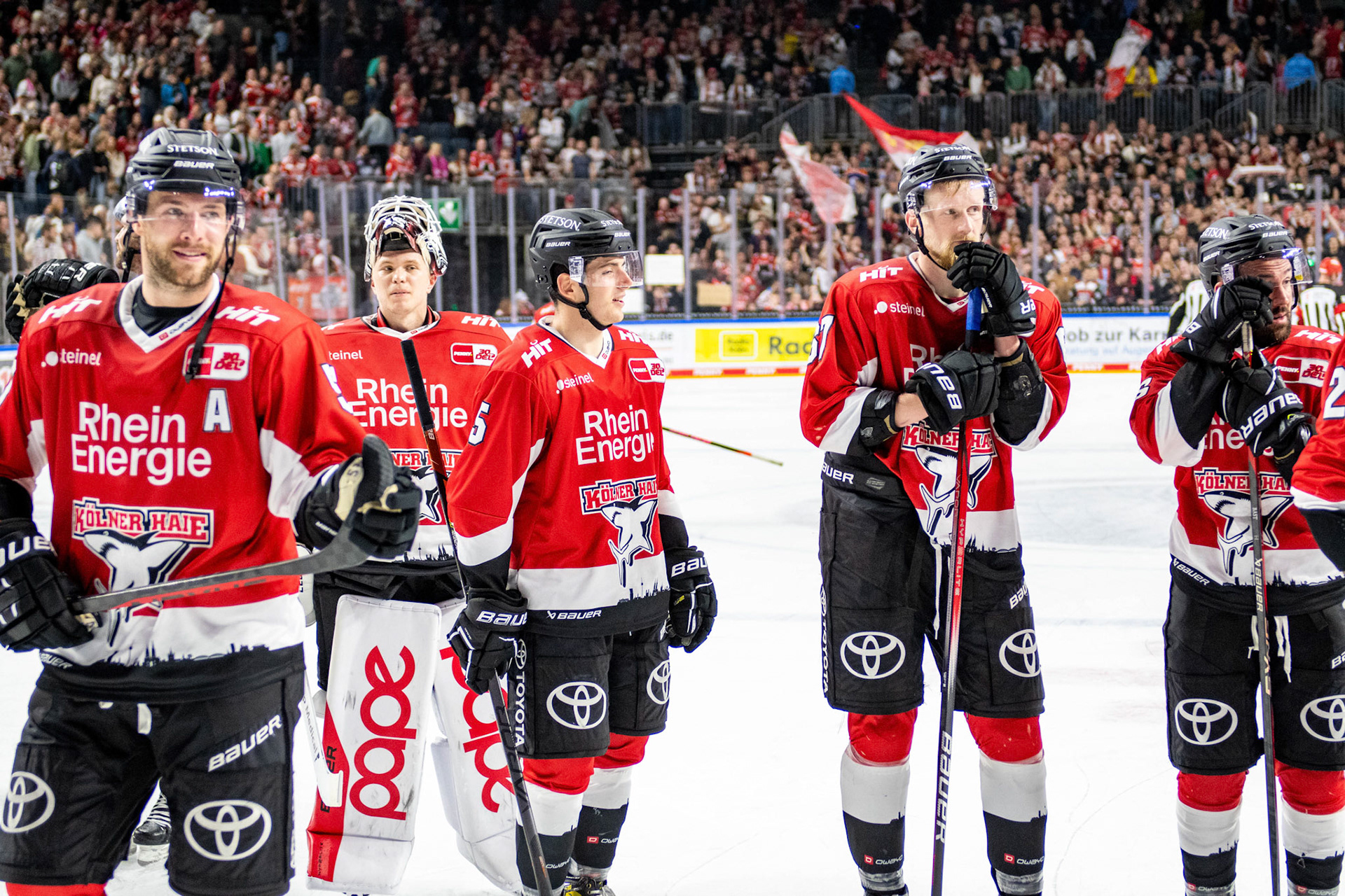 Koelner Haie Winner; DEL Kölner Haie - Augsburger Panther, 03.10.2023