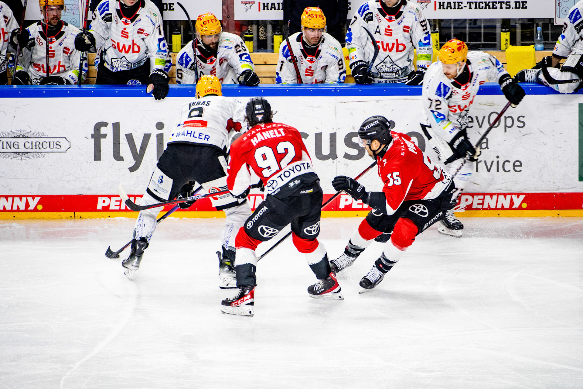 Hakon Haenelt, Carter Proft, Jan Urbas, Phillip Bruggisser; DEL Kölner Haie - Fishtown Pinguins Bremerhaven, 30.01.2024