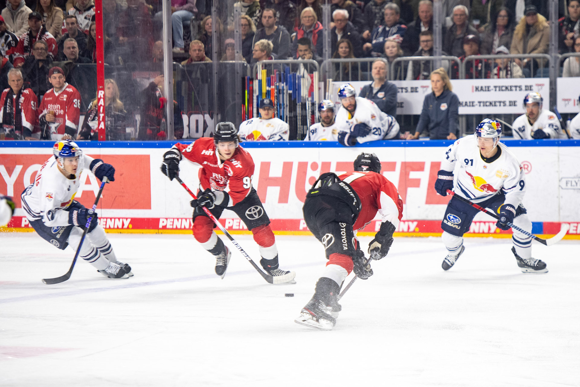 Hakon Haenelt; DEL Kölner Haie - EHC Red Bull München, 27.10.2023