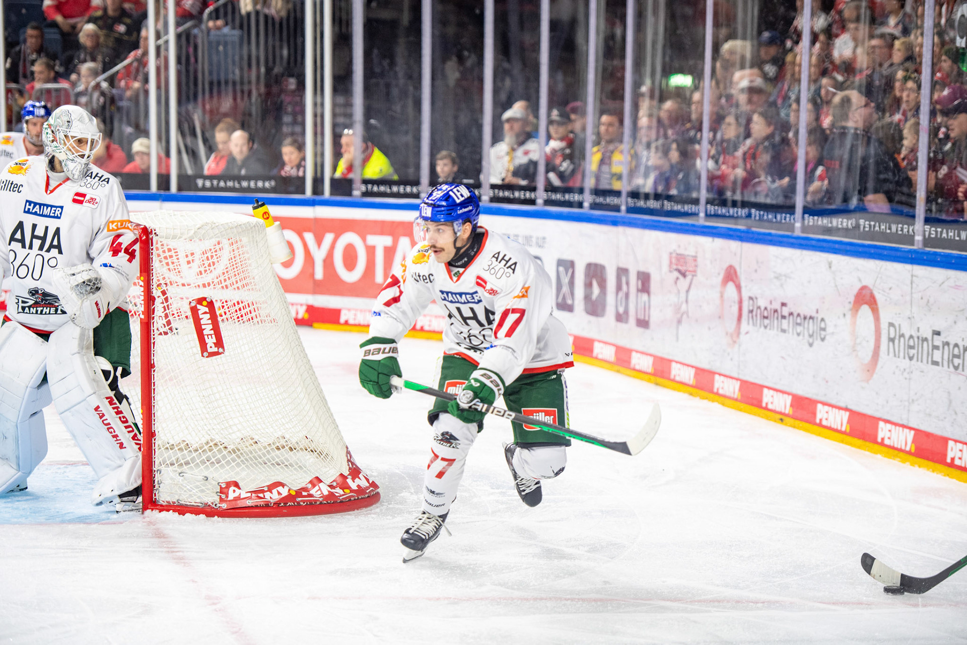 Luca Tosto; DEL Kölner Haie - Augsburger Panther, 19.11.2023