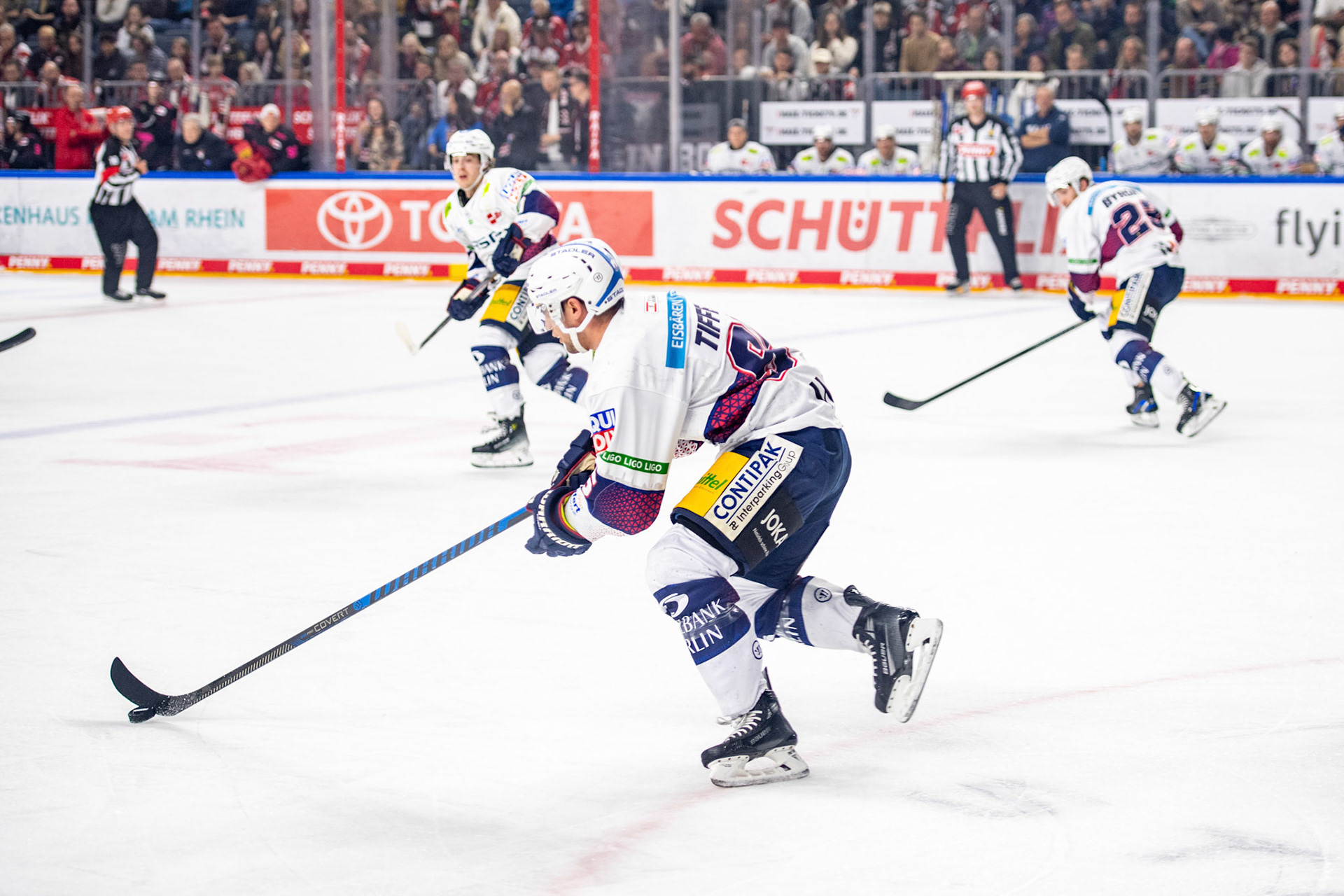 Frederik Tiffels; DEL Kölner Haie - Eisbaeren Berlin, 06.10.2023