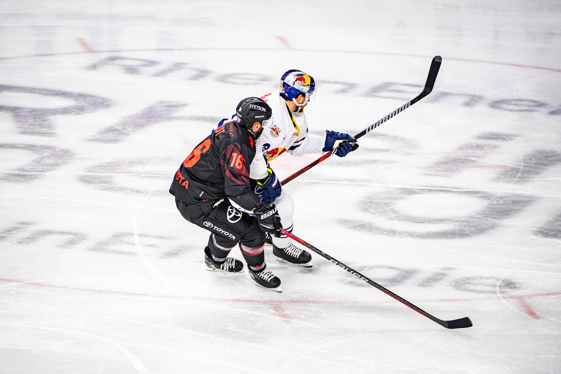 Jason Bast im Zweikampf mit Andrew MacWilliam; DEL Kölner Haie - EHC Red Bull München, 05.01.2024