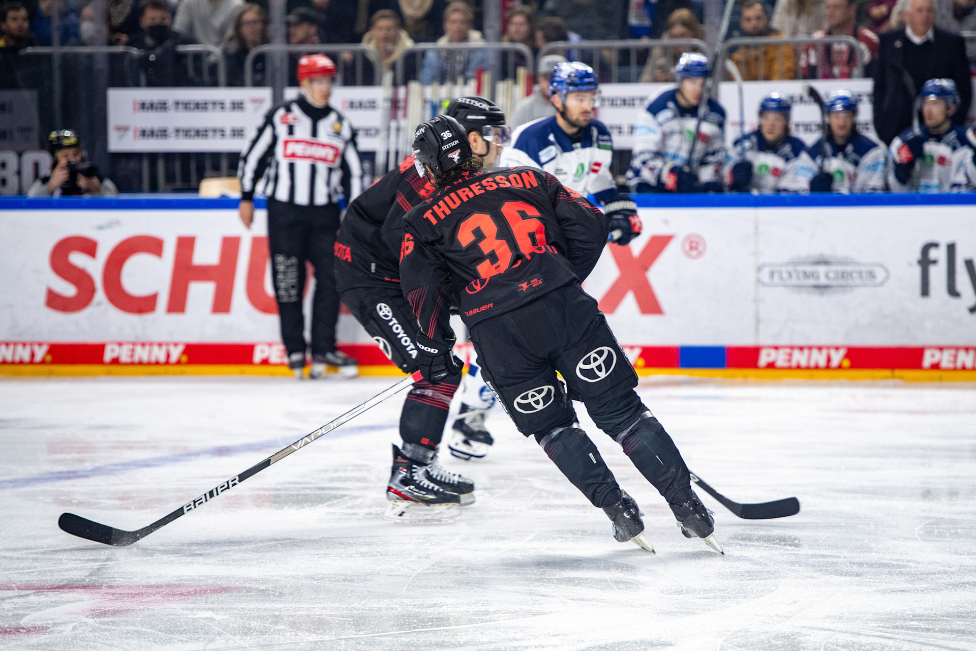 Andreas Thuresson und Maximilian Kammerer; DEL Kölner Haie - Iserlohn Roosters, 02.01.2024
