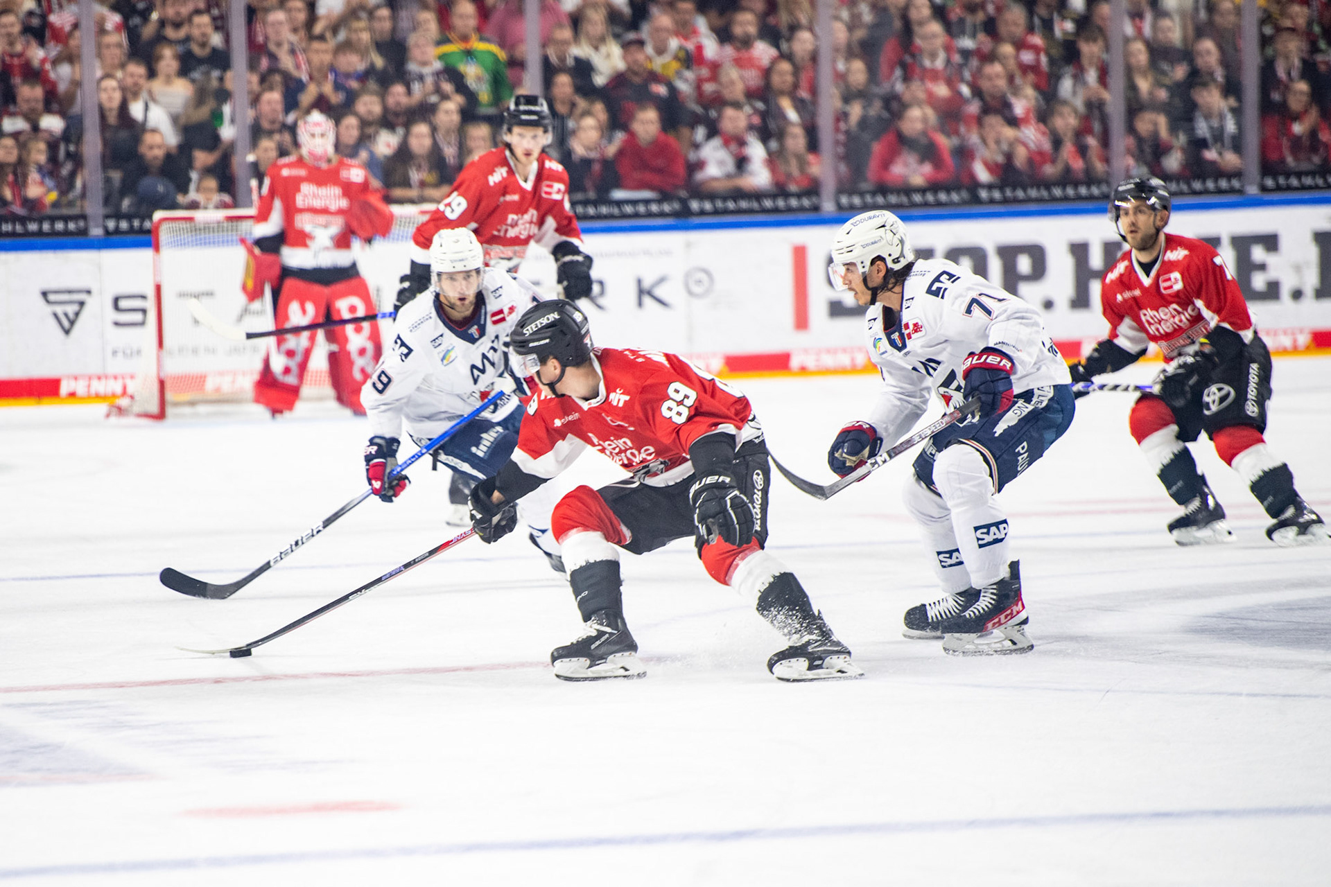 Gregor Macleod; DEL Kölner Haie - Adler Mannheim, 30.09.2023