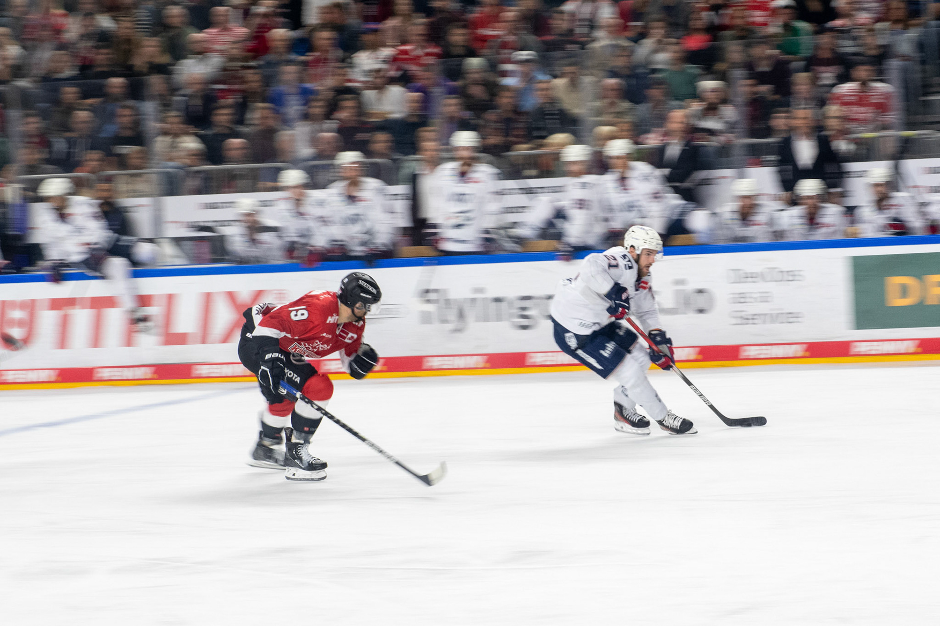 Frederik Storm und Kais Bennett; DEL Kölner Haie - Adler Mannheim, 30.09.2023