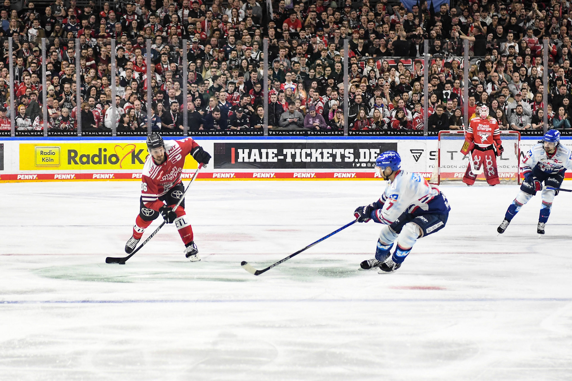 Sinan Akdag; DEL Kölner Haie - Adler Mannheim, 17.03.2023