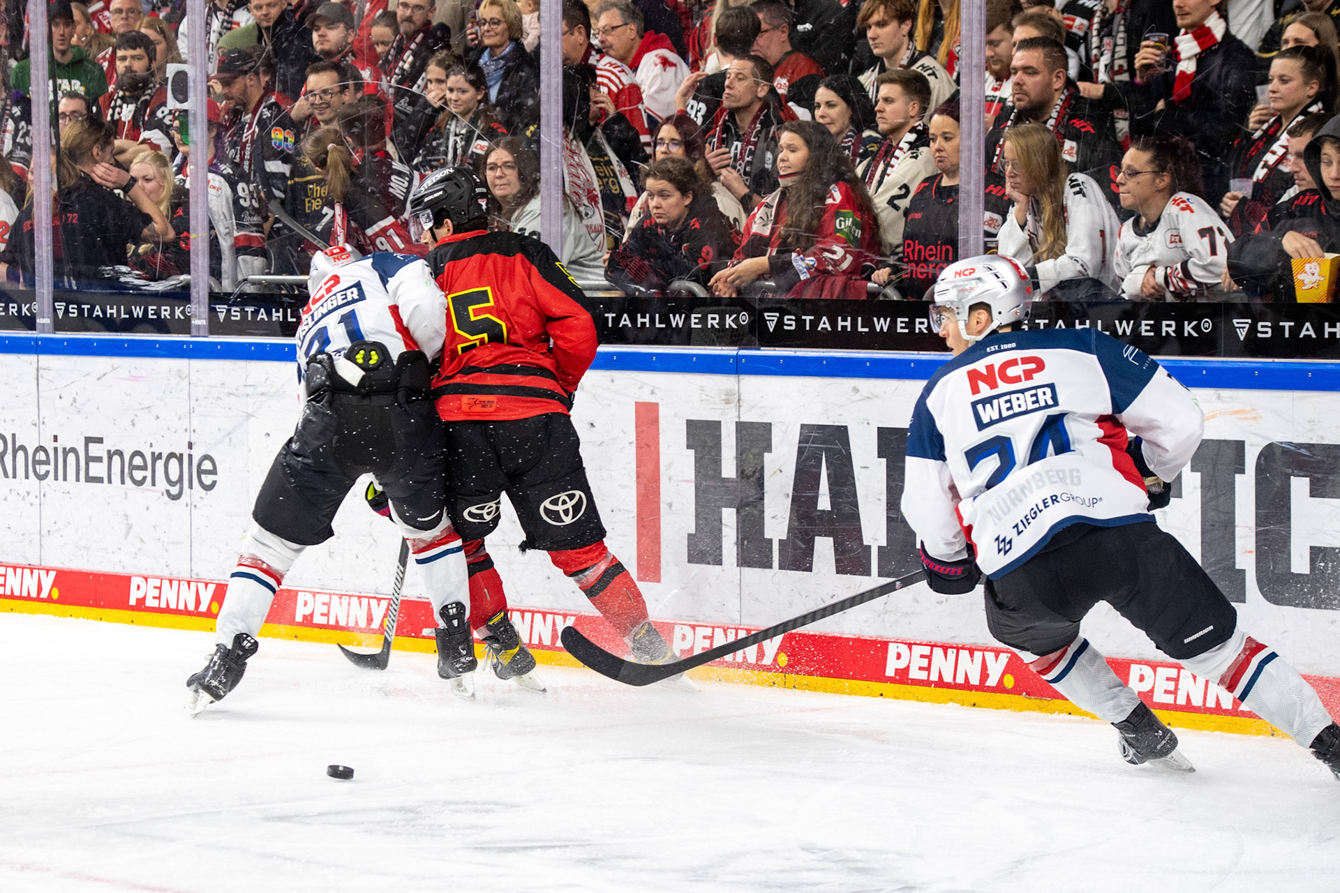 Robin van Calster; DEL Kölner Haie - Nürnberg Ice Tigers, 17.12.2023