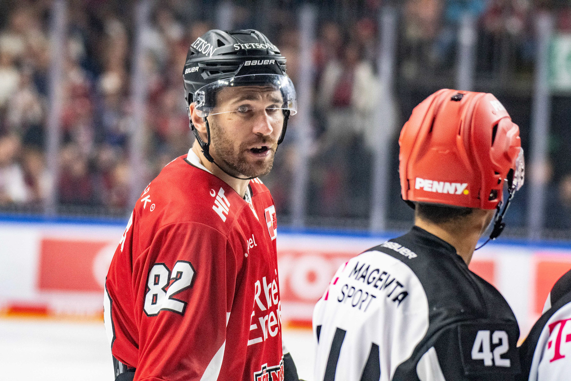 Alexandre Grenter; DEL Kölner Haie - Augsburger Panther, 03.10.2023