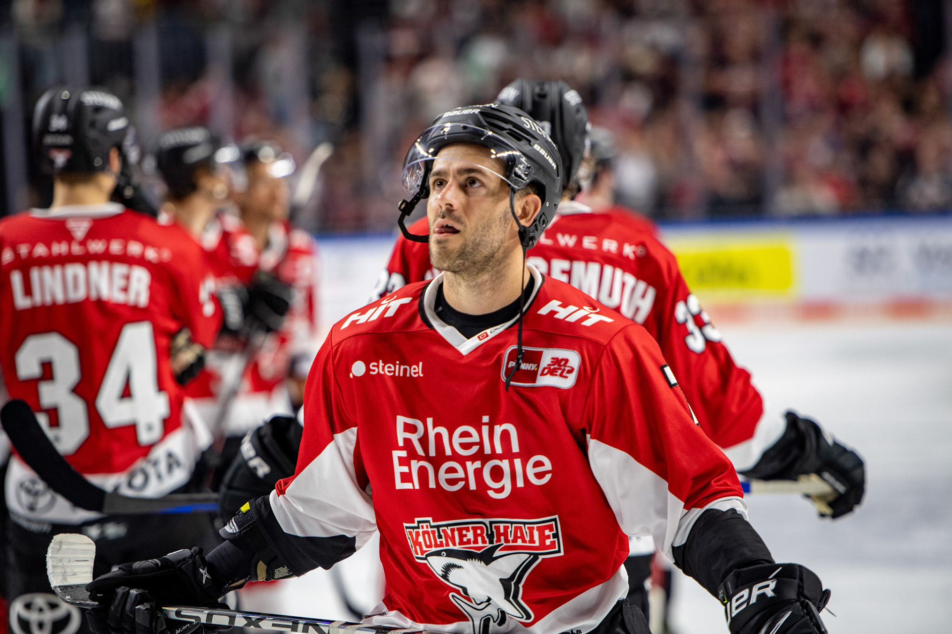 Nicholas Bailen; DEL Kölner Haie - Adler Mannheim, 30.09.2023
