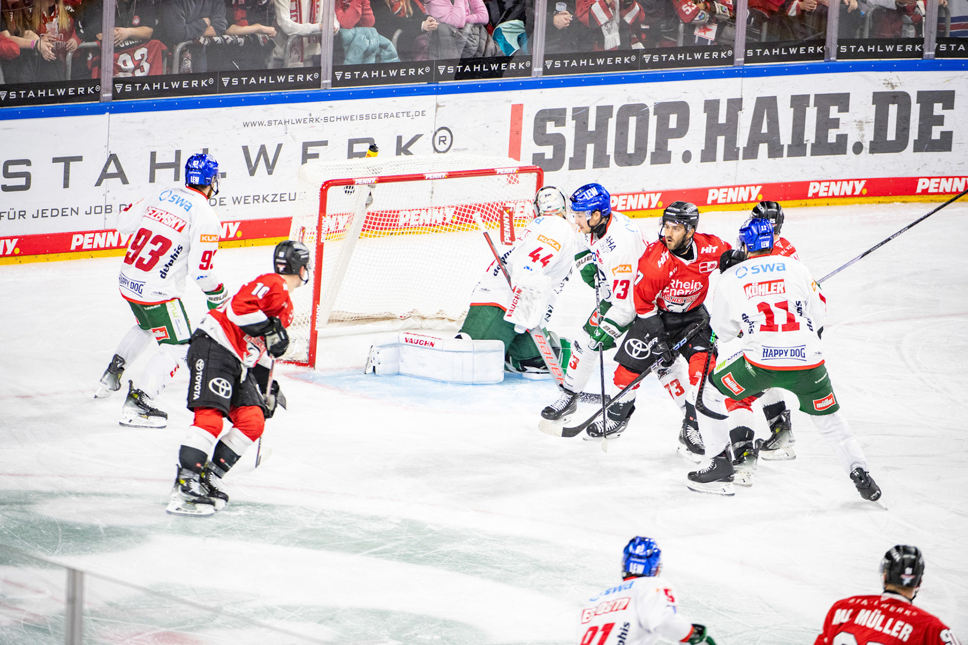 Nicholas Bailen; DEL Kölner Haie - Augsburger Panther, 19.11.2023