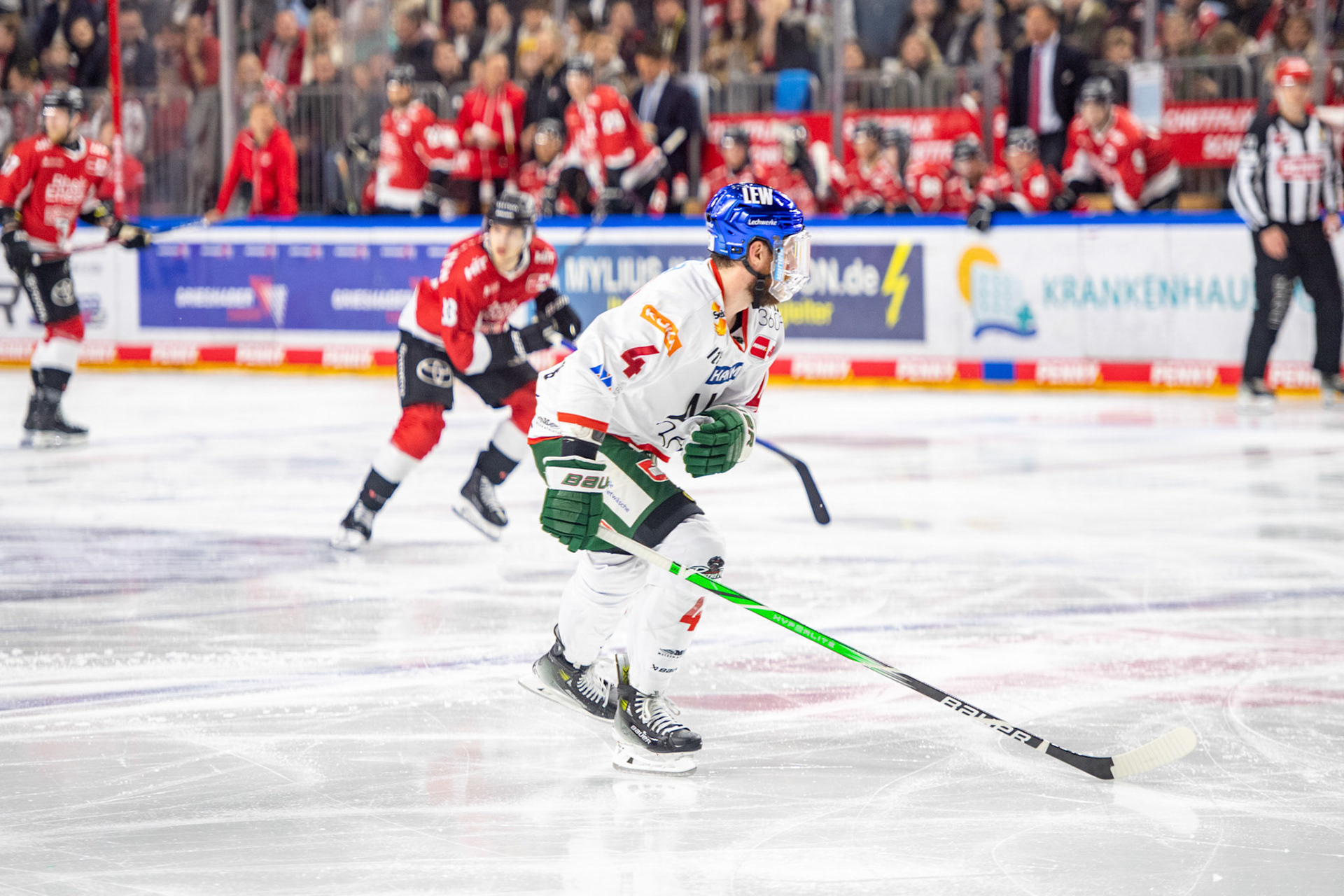 Jordon Southorn; DEL Kölner Haie - Augsburger Panther, 19.11.2023