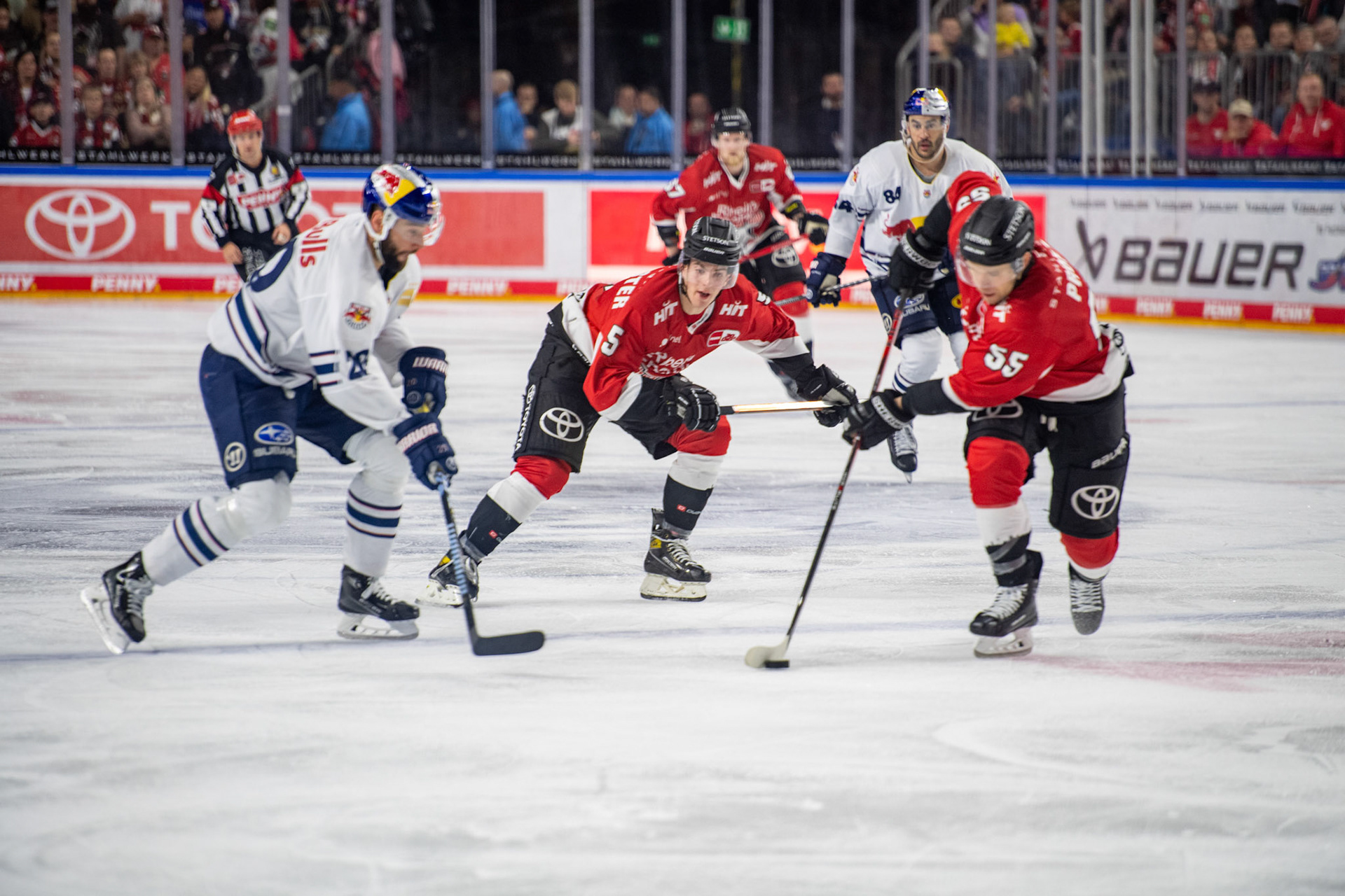 Robin van Calster, Carter Proft; DEL Kölner Haie - EHC Red Bull München, 27.10.2023