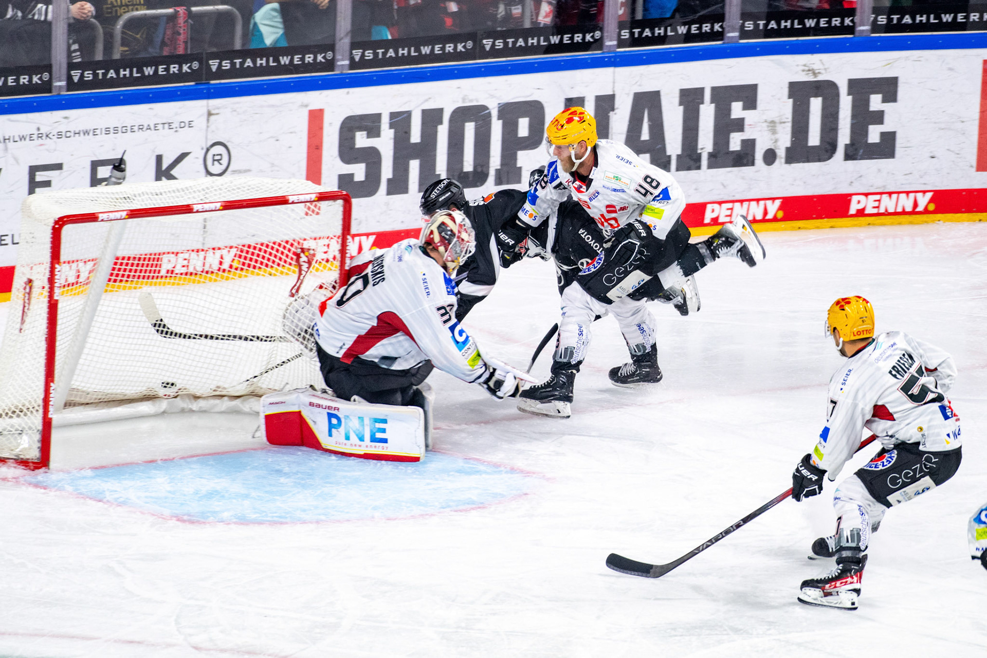 Justin Schuetz; DEL Kölner Haie - Bremerhaven Fischtown Pinguins, 01.11.2023