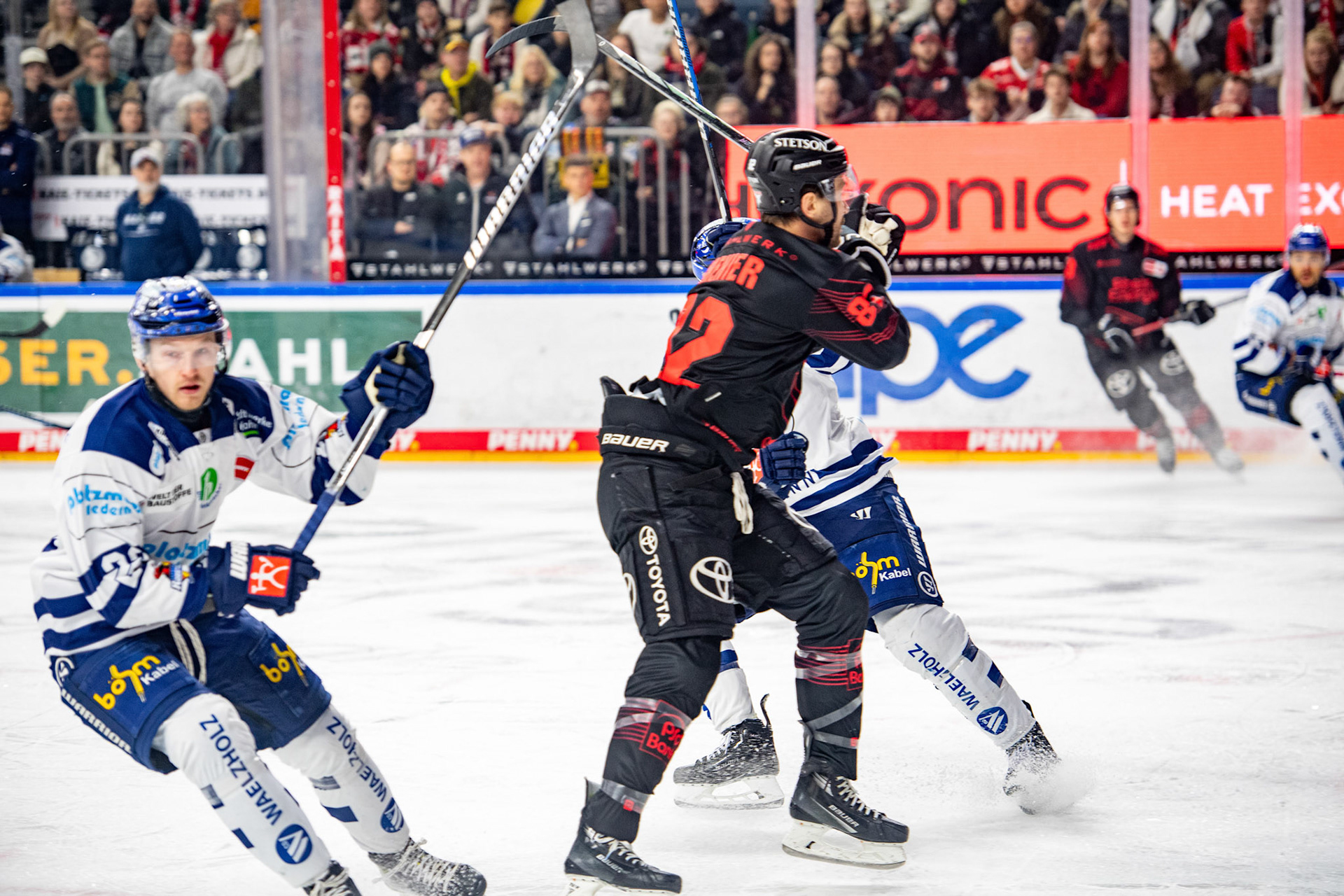 Alexandre Grenier; DEL Kölner Haie - Iserlohn Roosters, 13.02.2024