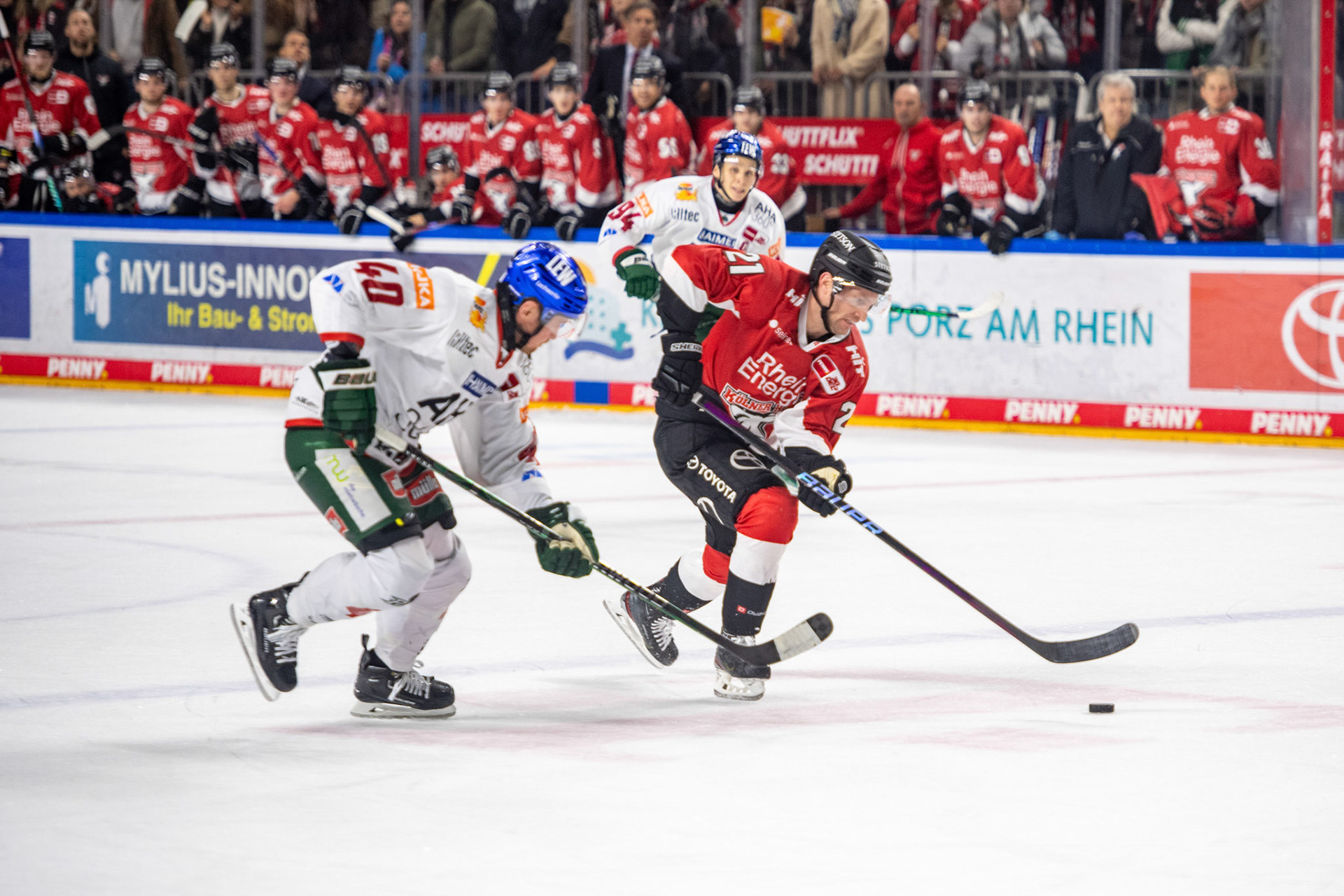 Marc Olverim Zweikampf mit Tim Schuele; DEL Kölner Haie - Augsburger Panther, 19.11.2023