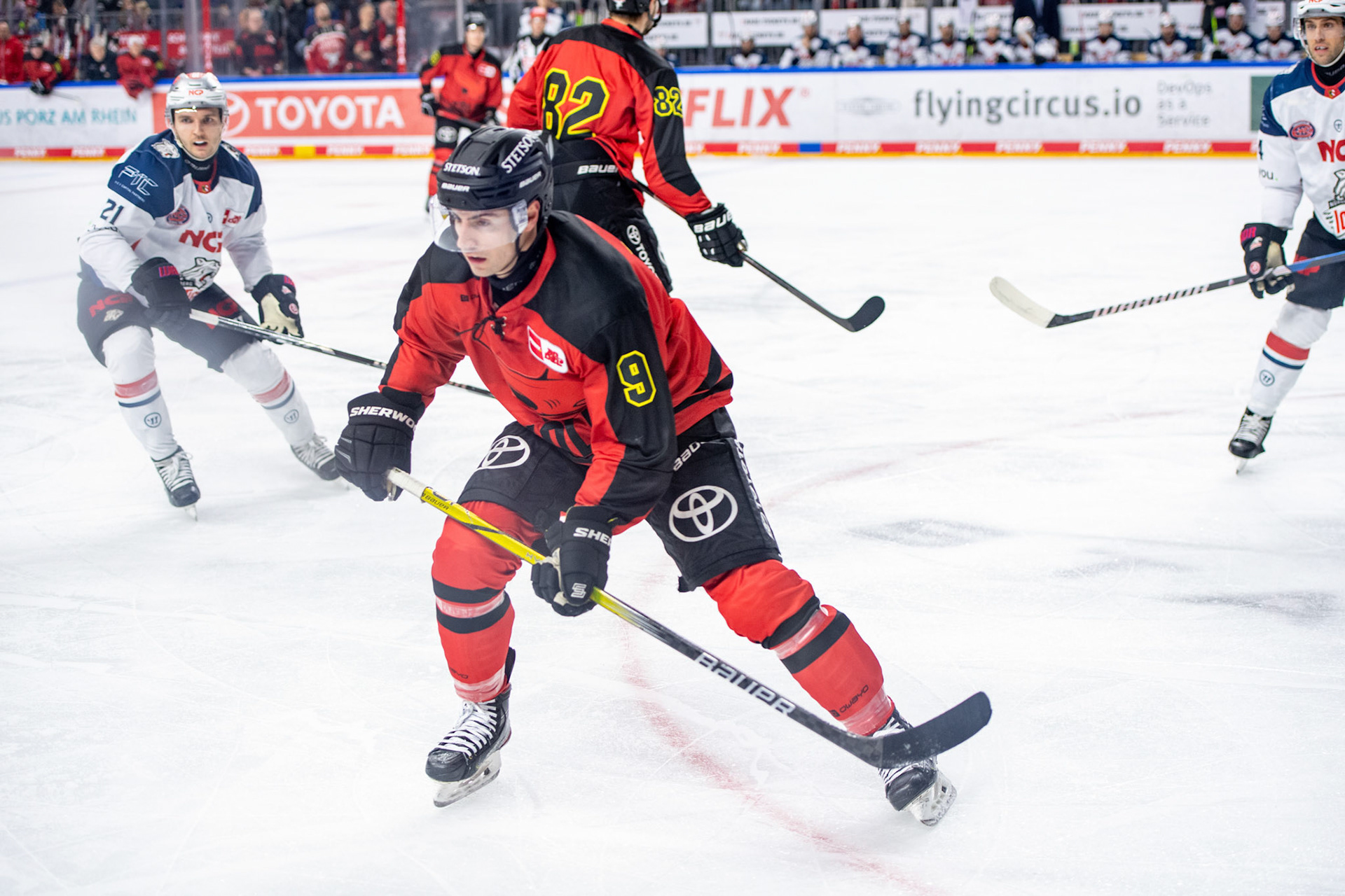 Maximilian Kammerer; DEL Kölner Haie - Nürnberg Ice Tigers, 17.12.2023