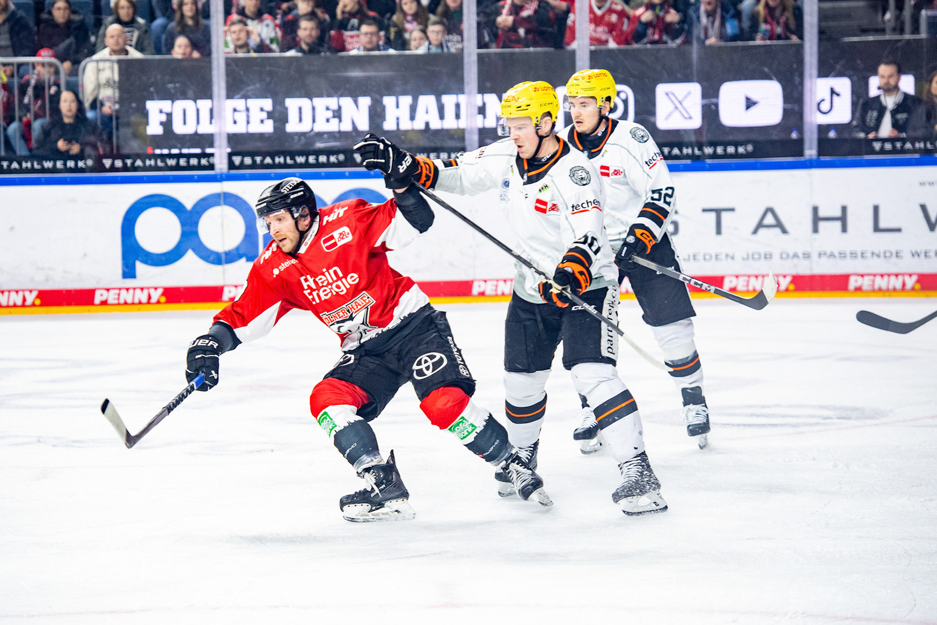 Frederik Storm, Maksim Matushkin; DEL Kölner Haie - Frankfurter Löwen, 16.02.2024