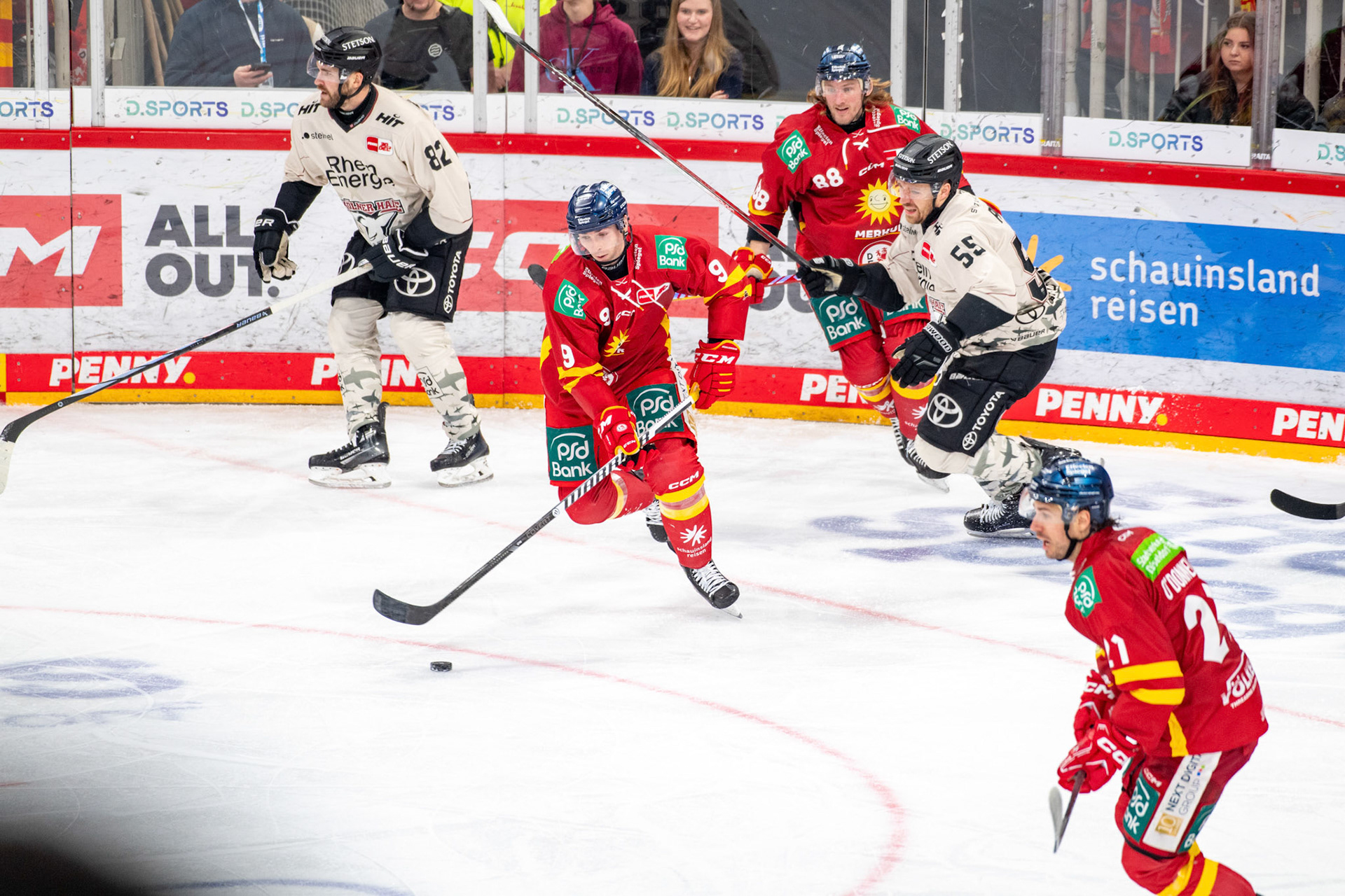 Adam Payerl, Carter Proft, Torsten Ankert, Alexandre Grenier; DEL Düsseldorfer EG - Kölner Haie, 25.02.2024