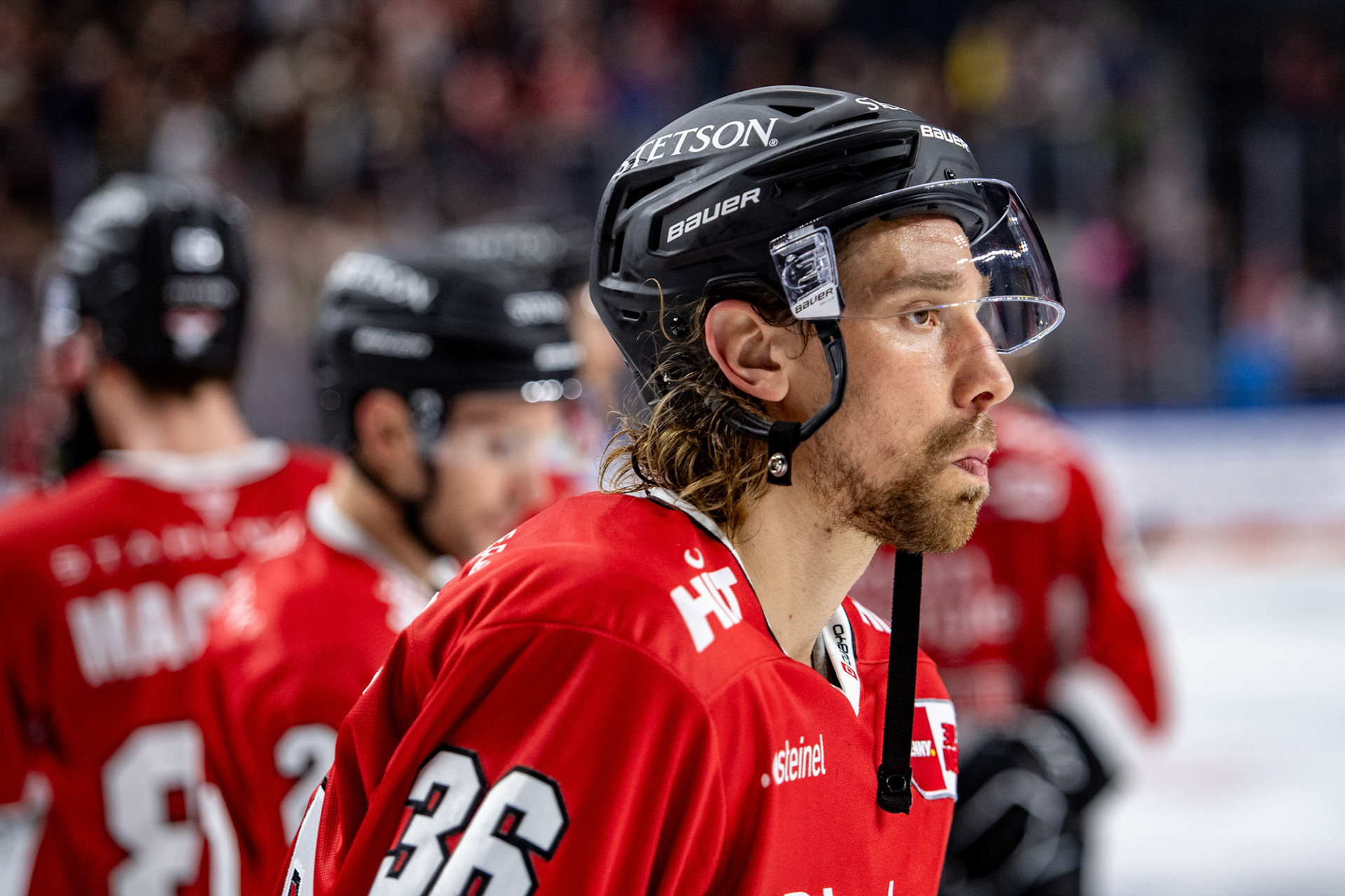 Andreas Thuresson; DEL Kölner Haie - EHC Red Bull München, 27.10.2023