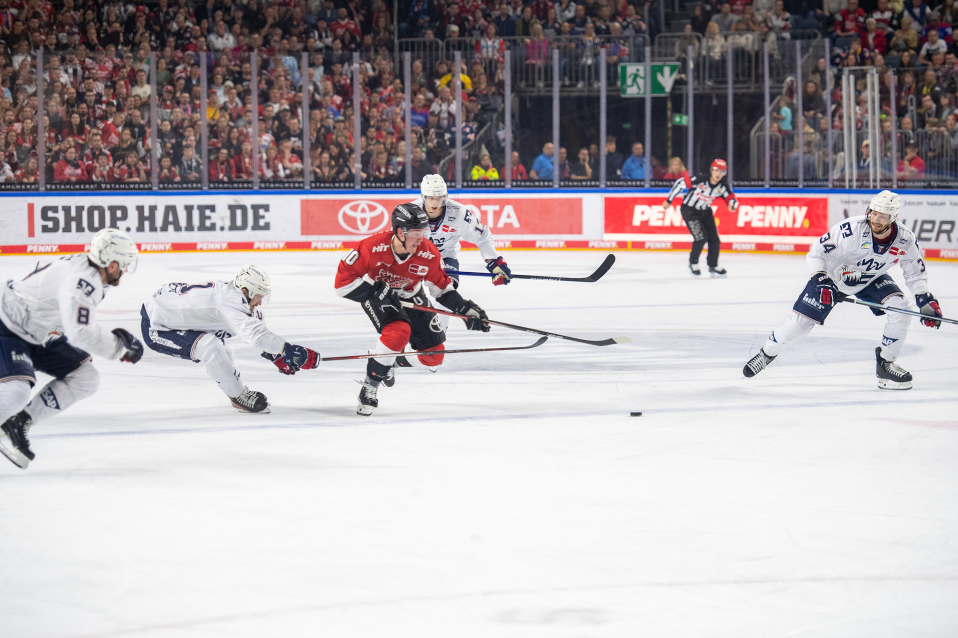Justin Schuetz; DEL Kölner Haie - Adler Mannheim, 30.09.2023