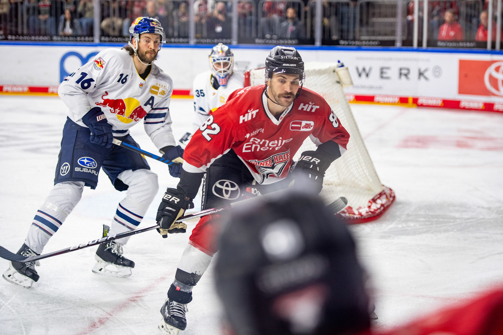 Alexandre Grenter; DEL Kölner Haie - EHC Red Bull München, 27.10.2023
